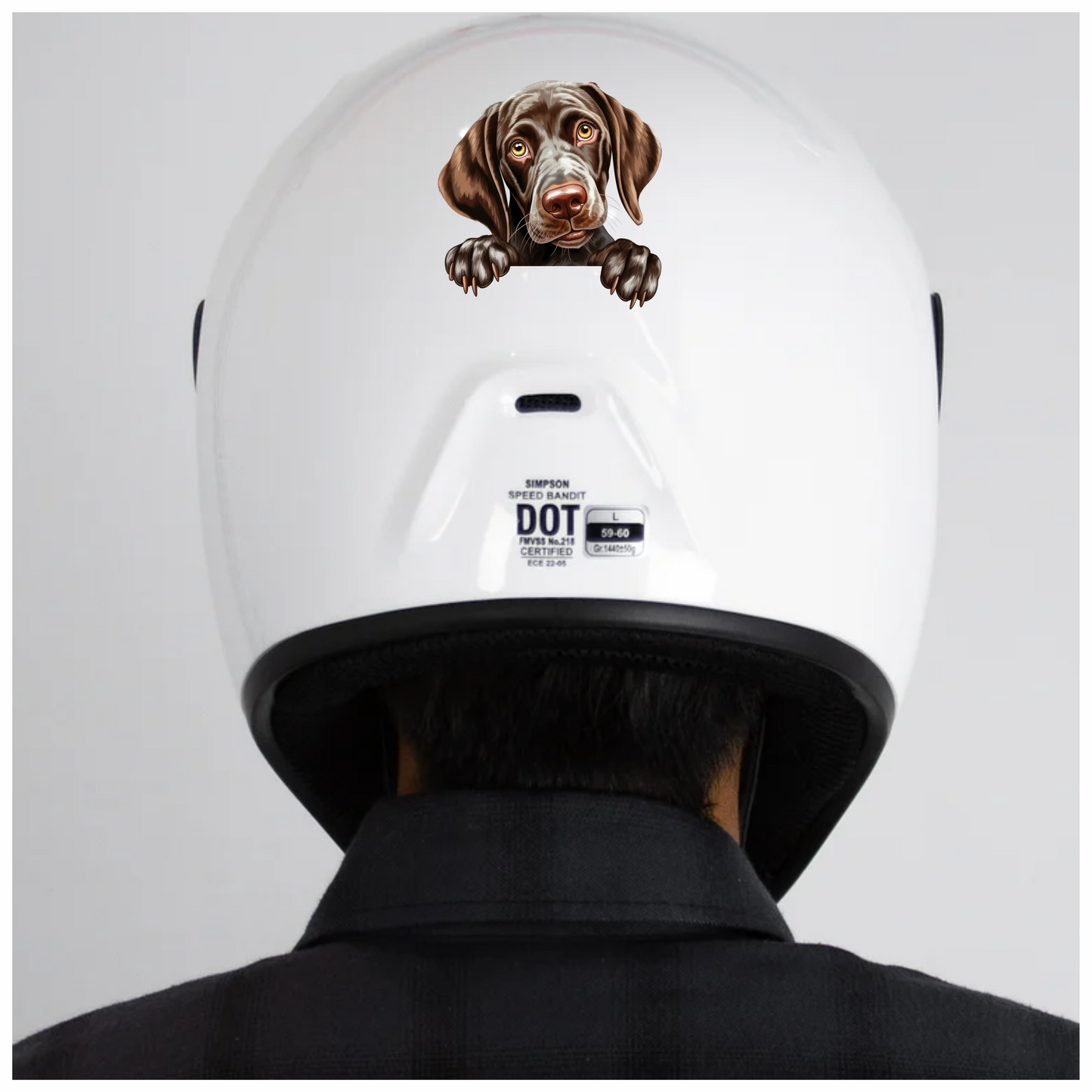 Brown Dog Puppy Cute Pointer Vinyl Sticker Decal