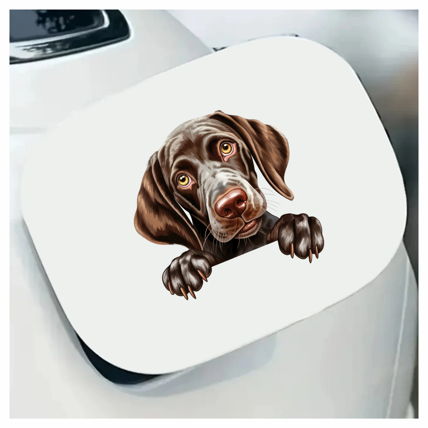 Brown Dog Puppy Cute Pointer Vinyl Sticker Decal