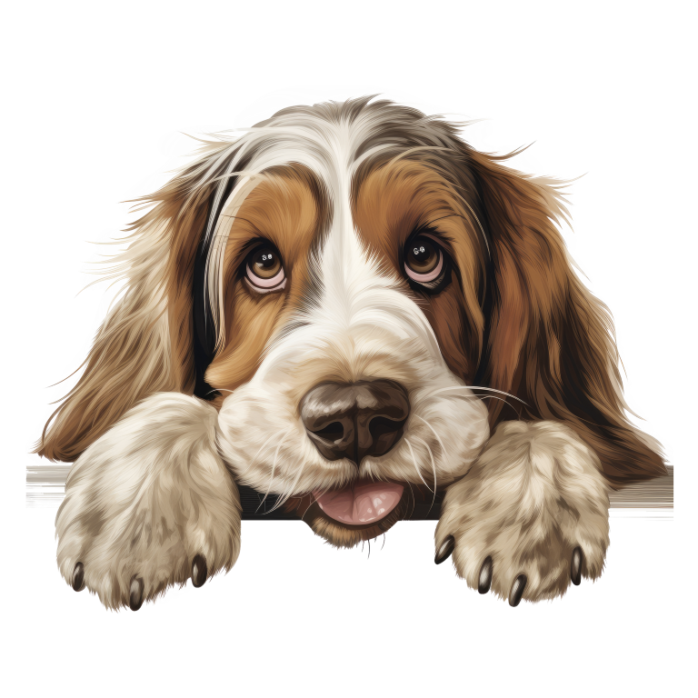 Brown White Dog Cocker Spaniel Vinyl Sticker Decal