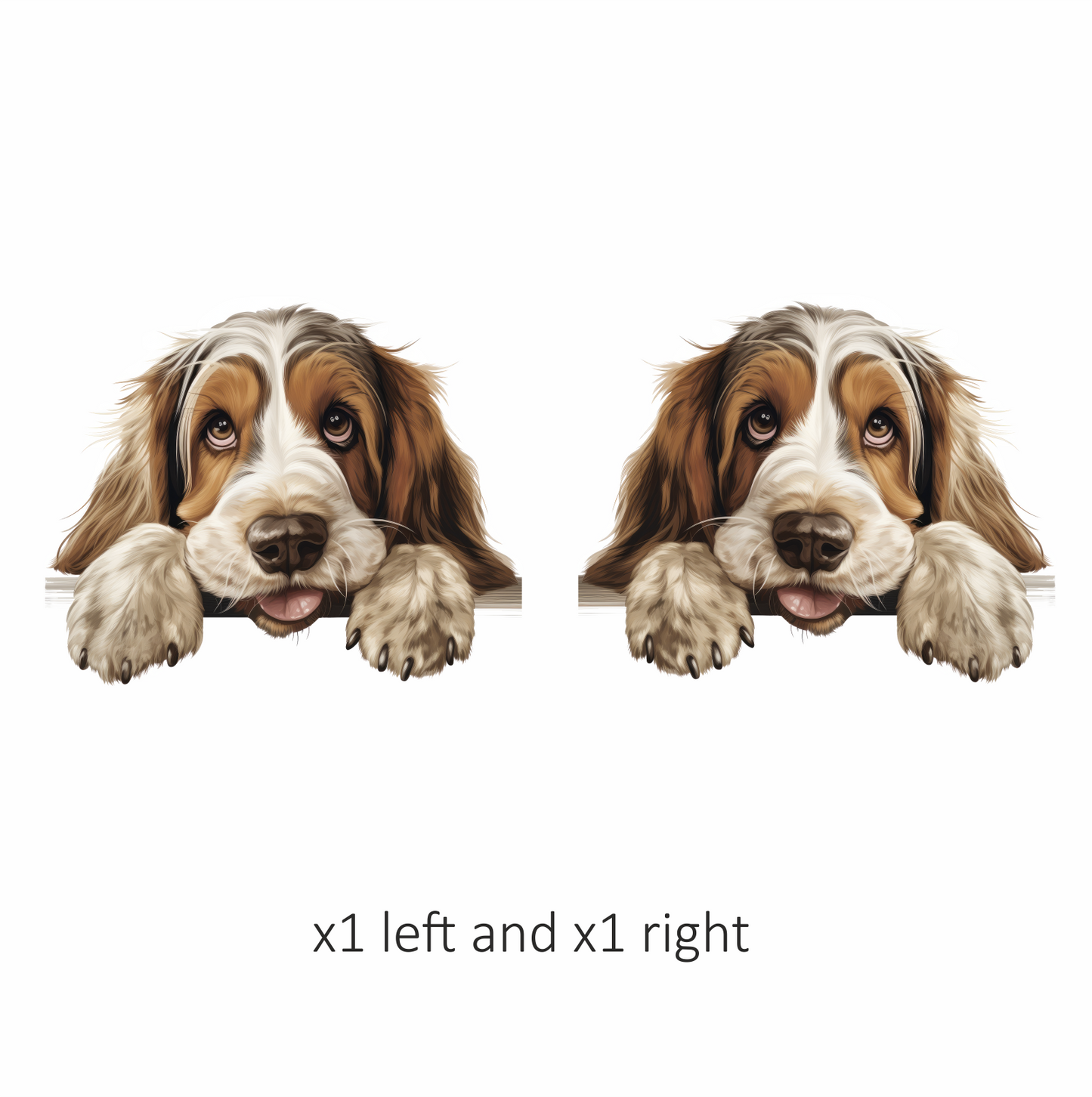 Brown White Dog Cocker Spaniel Vinyl Sticker Decal