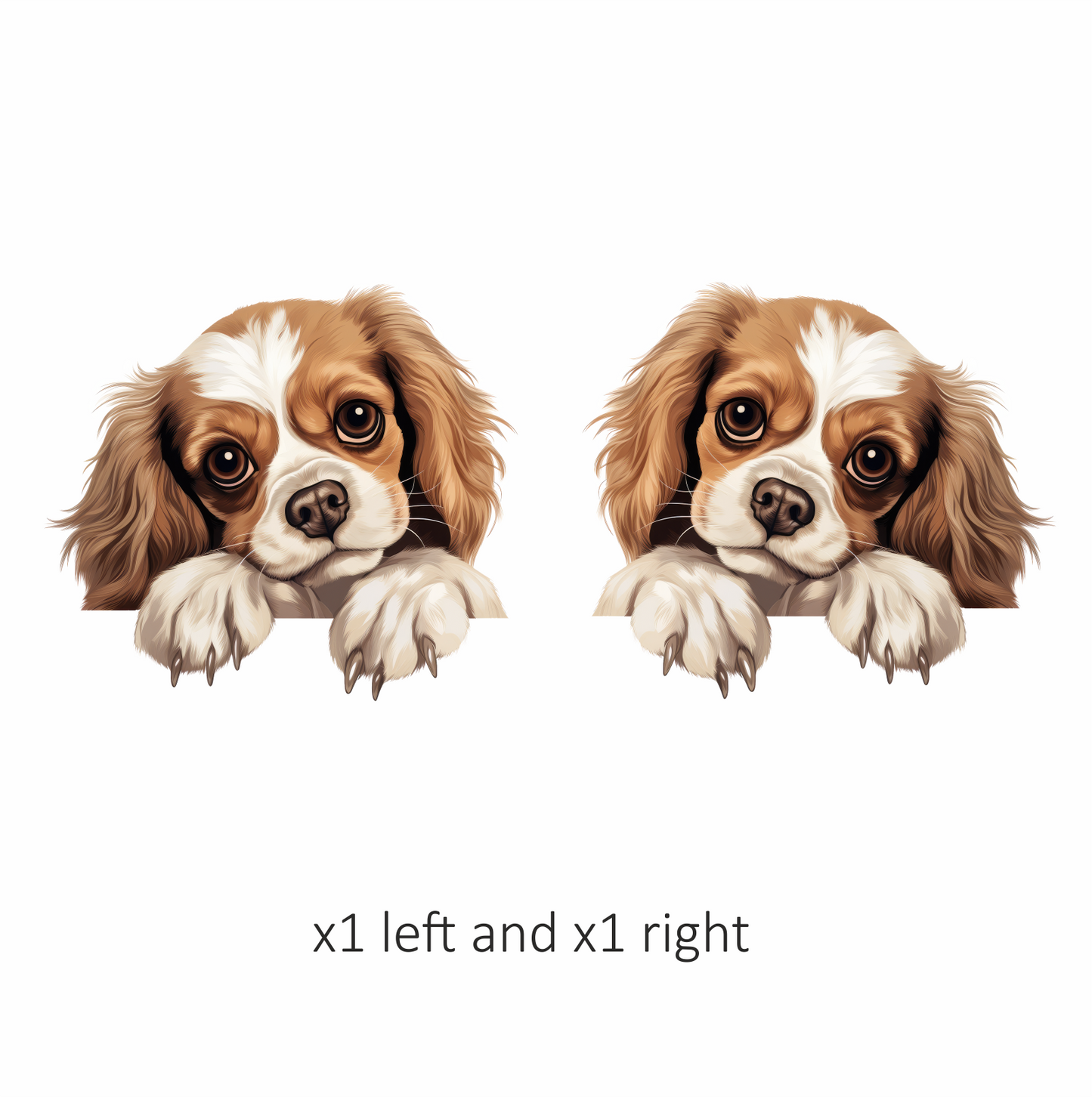 Brown White Dog Cavalier Spaniel Vinyl Sticker Decal
