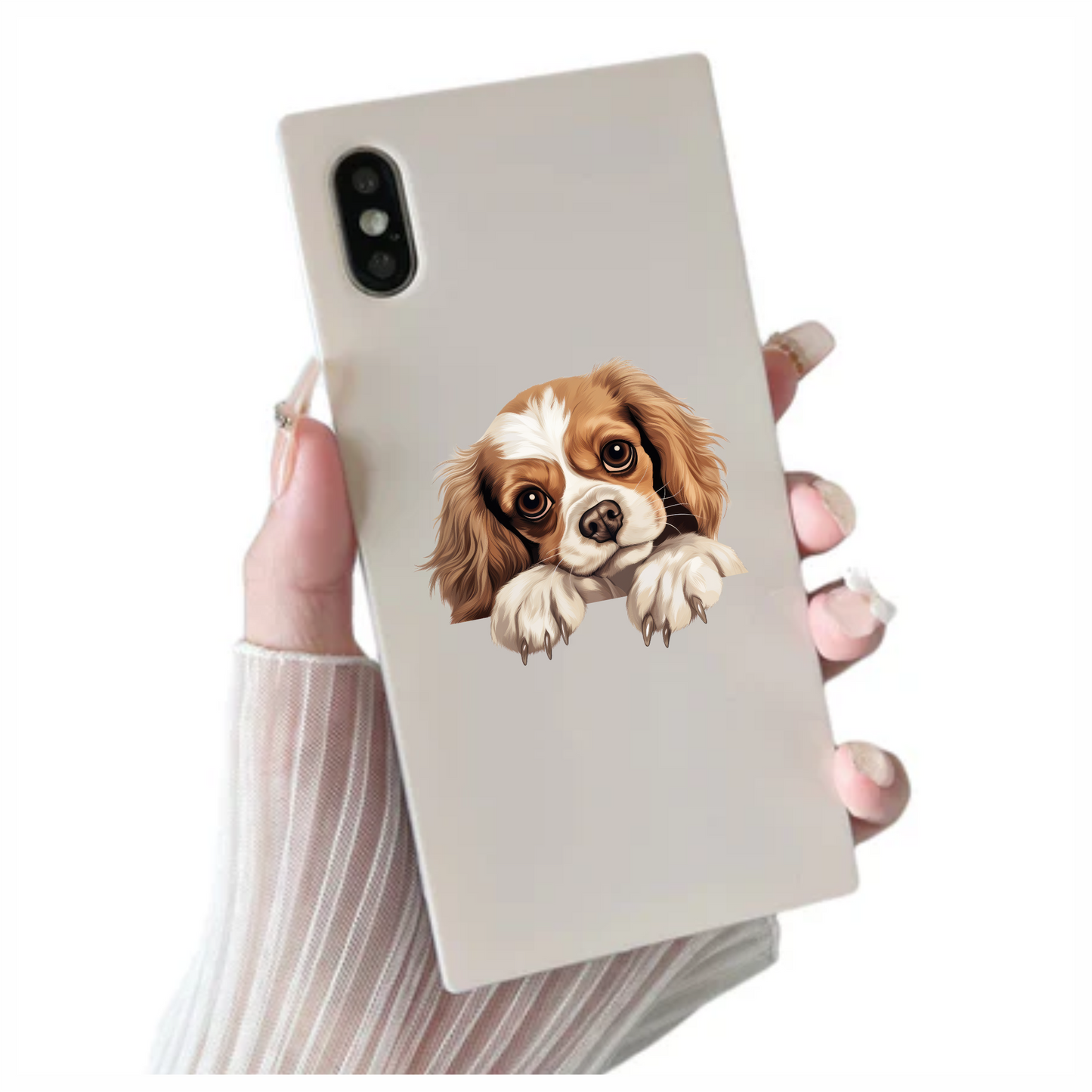 Brown White Dog Cavalier Spaniel Vinyl Sticker Decal