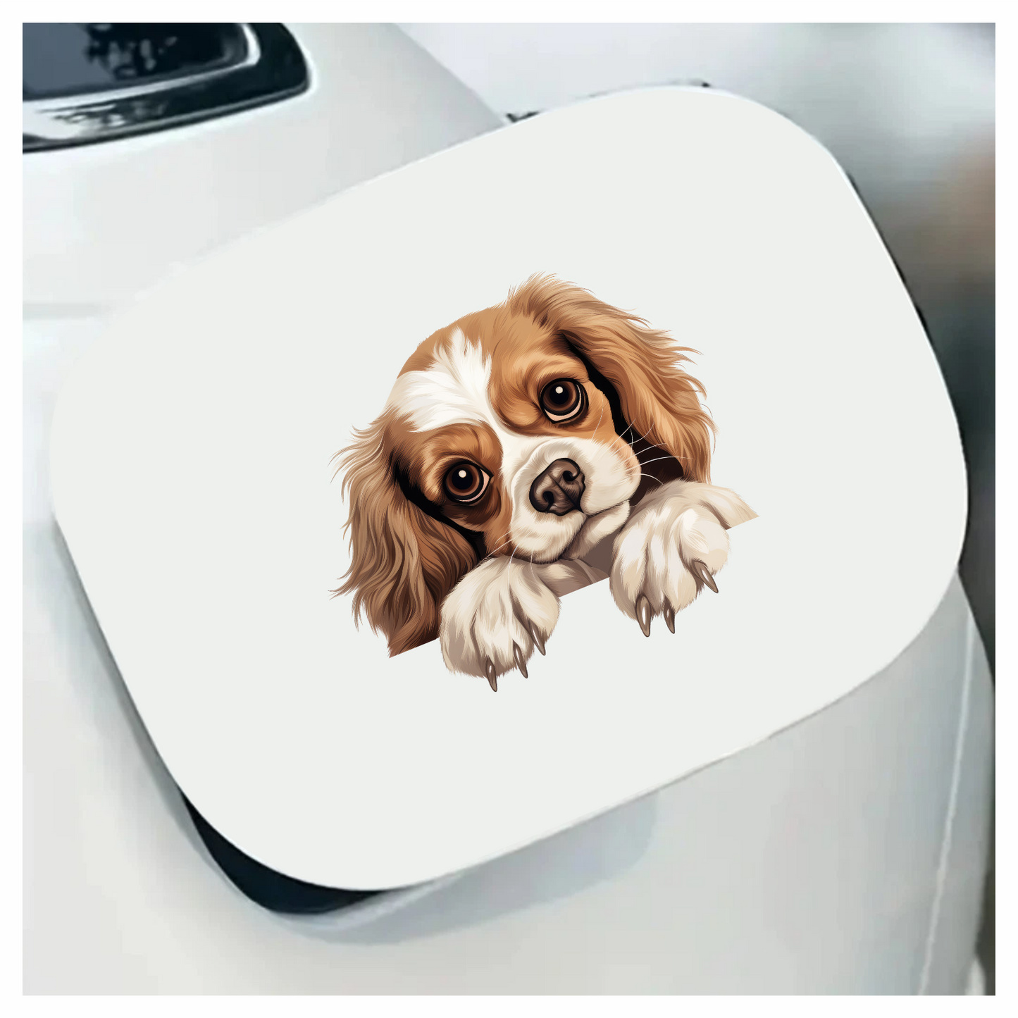Brown White Dog Cavalier Spaniel Vinyl Sticker Decal