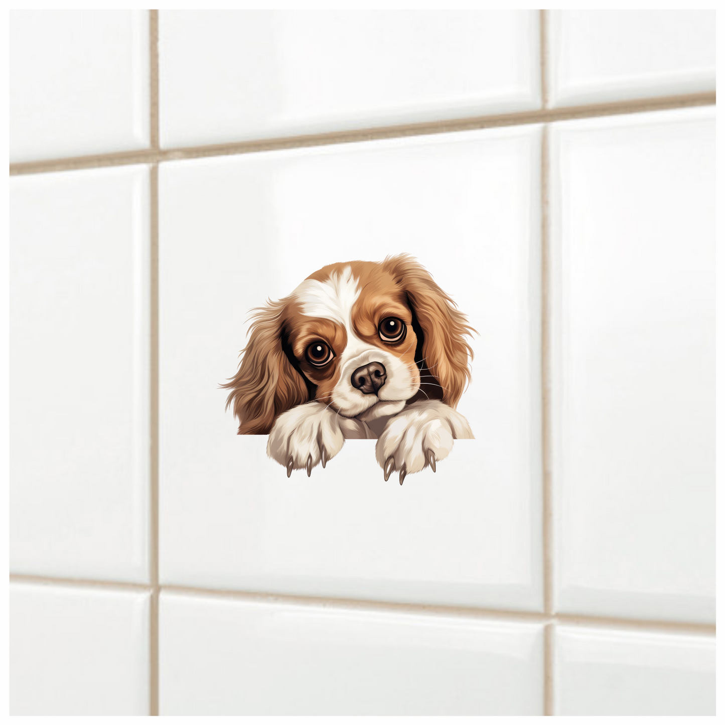Brown White Dog Cavalier Spaniel Vinyl Sticker Decal