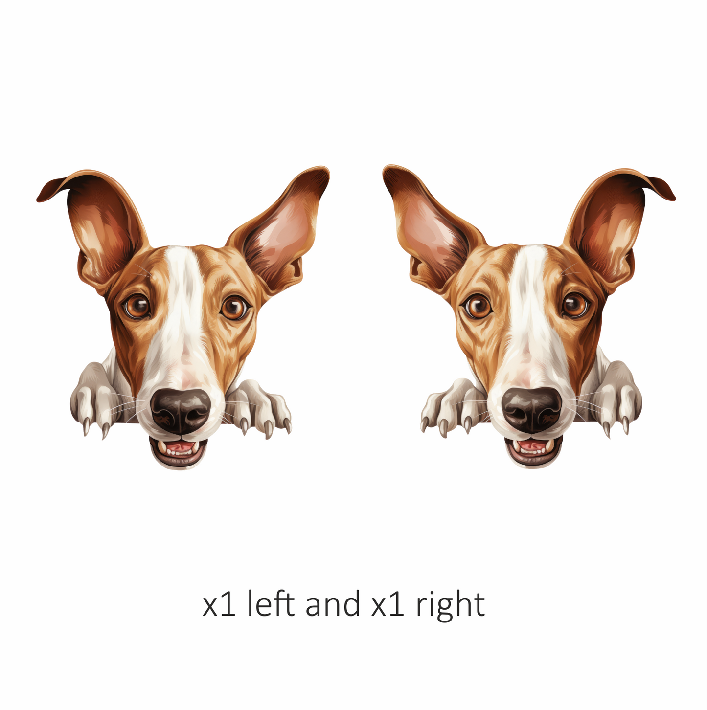 Brown White Dog Greyhound Face Vinyl Sticker Decal
