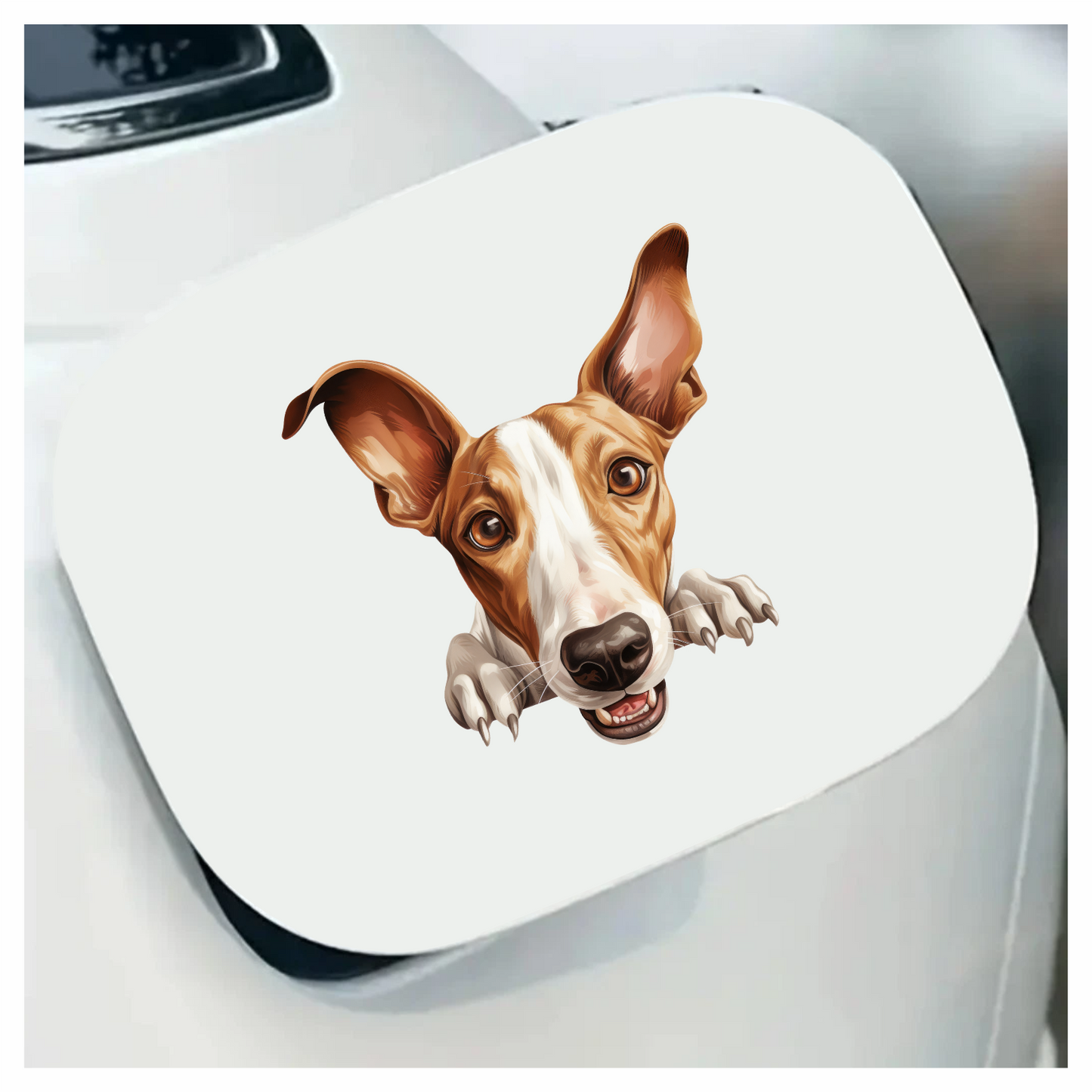 Brown White Dog Greyhound Face Vinyl Sticker Decal