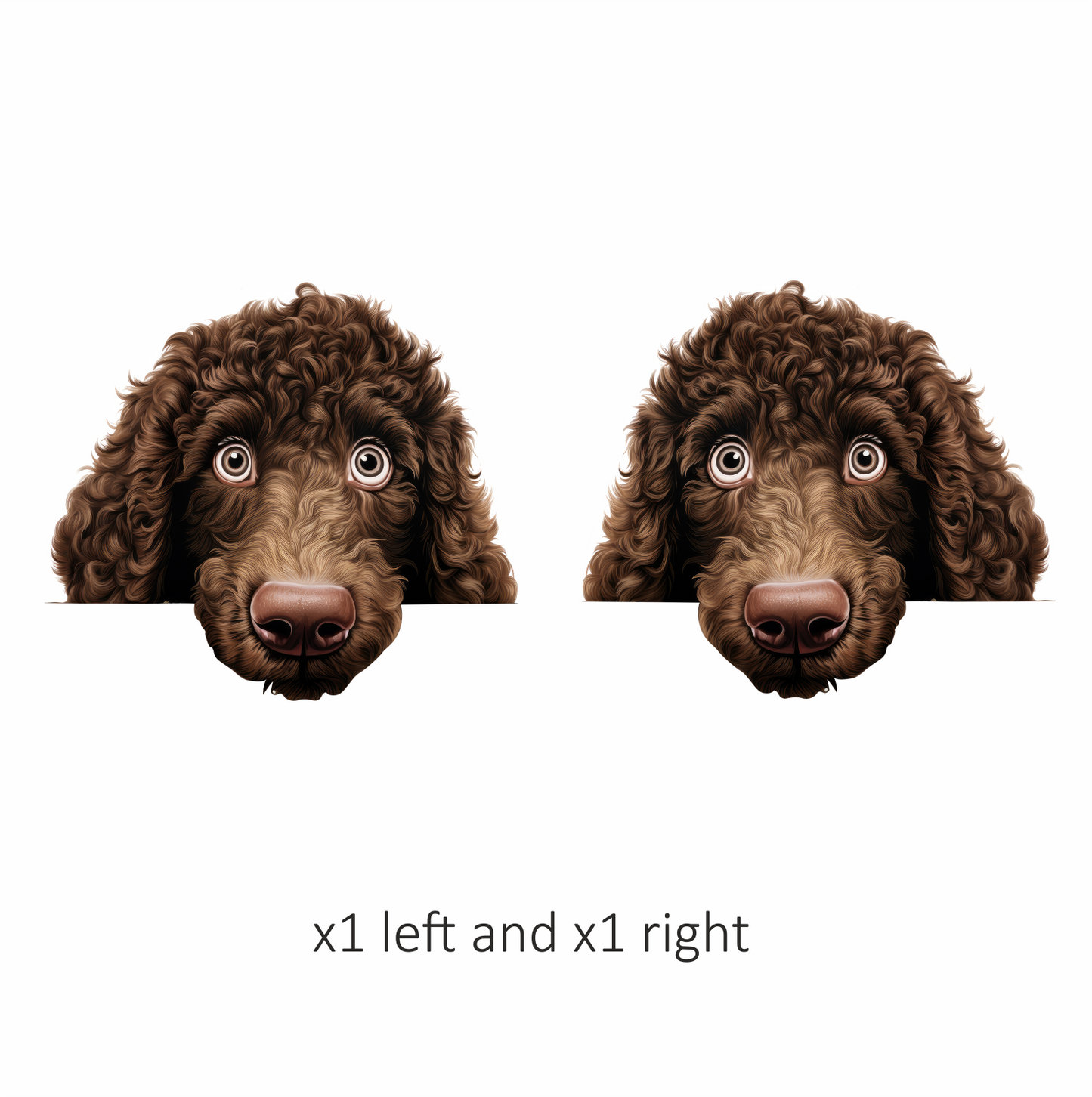 Brown Dog Poodle Head Close Vinyl Sticker Decal