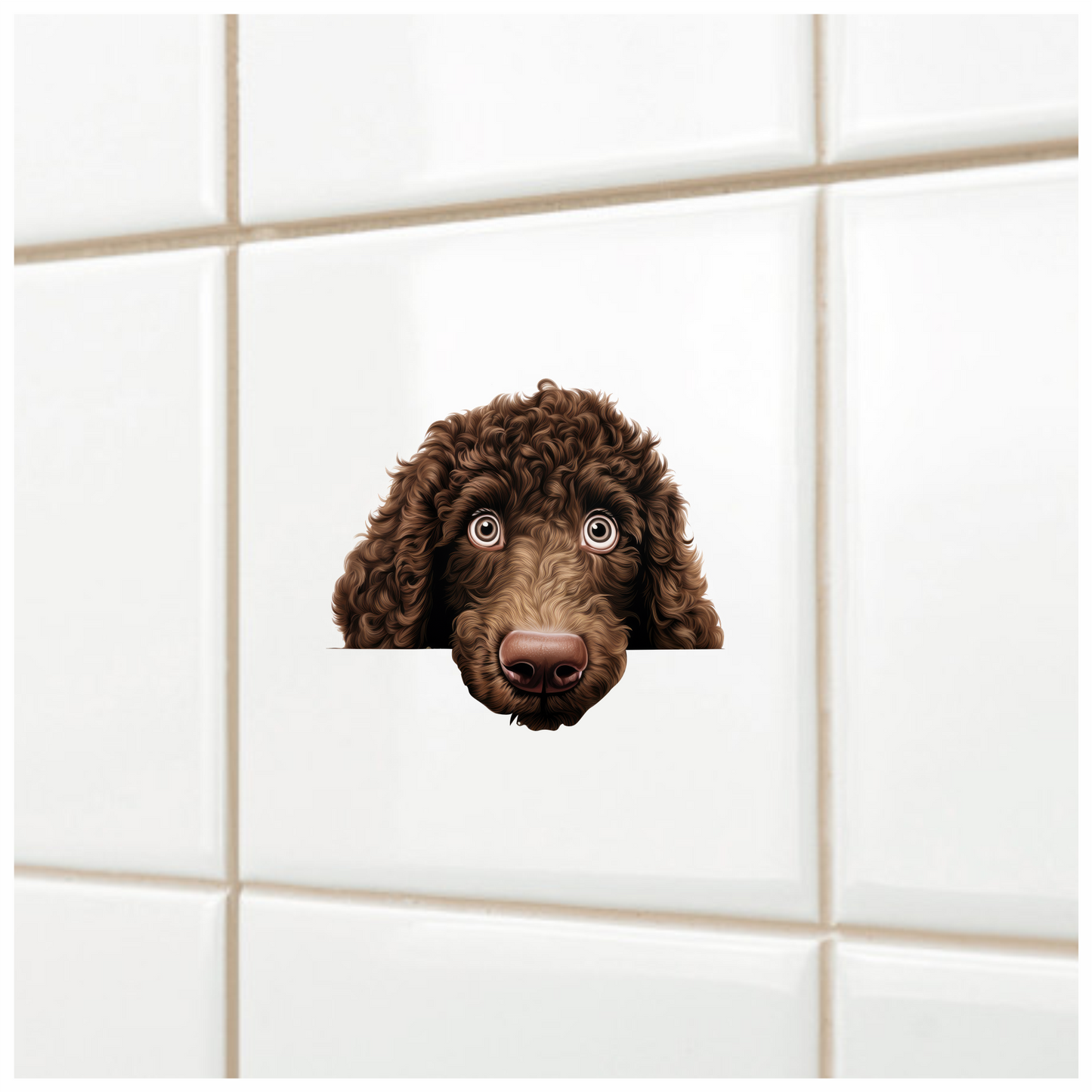 Brown Dog Poodle Head Close Vinyl Sticker Decal