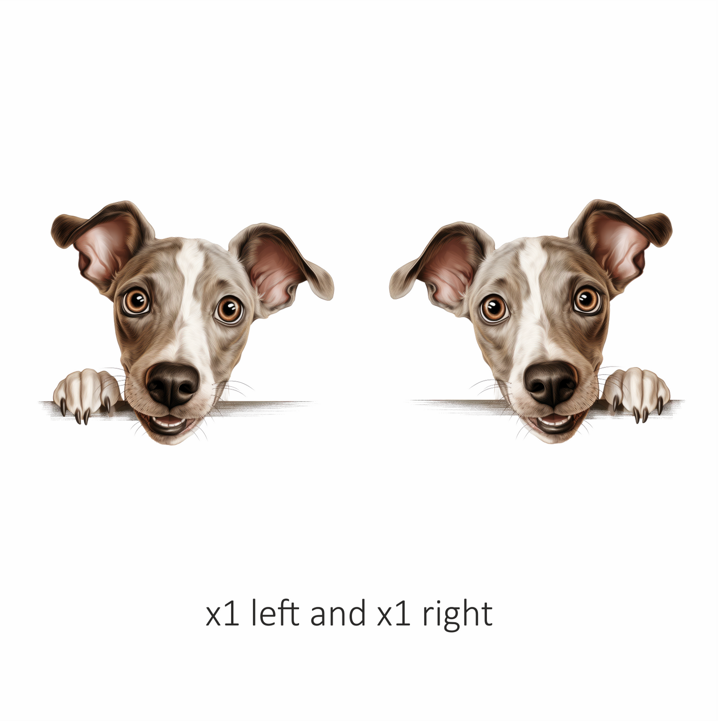 Brown Dog Whippet Cartoon Cute Vinyl Sticker Decal