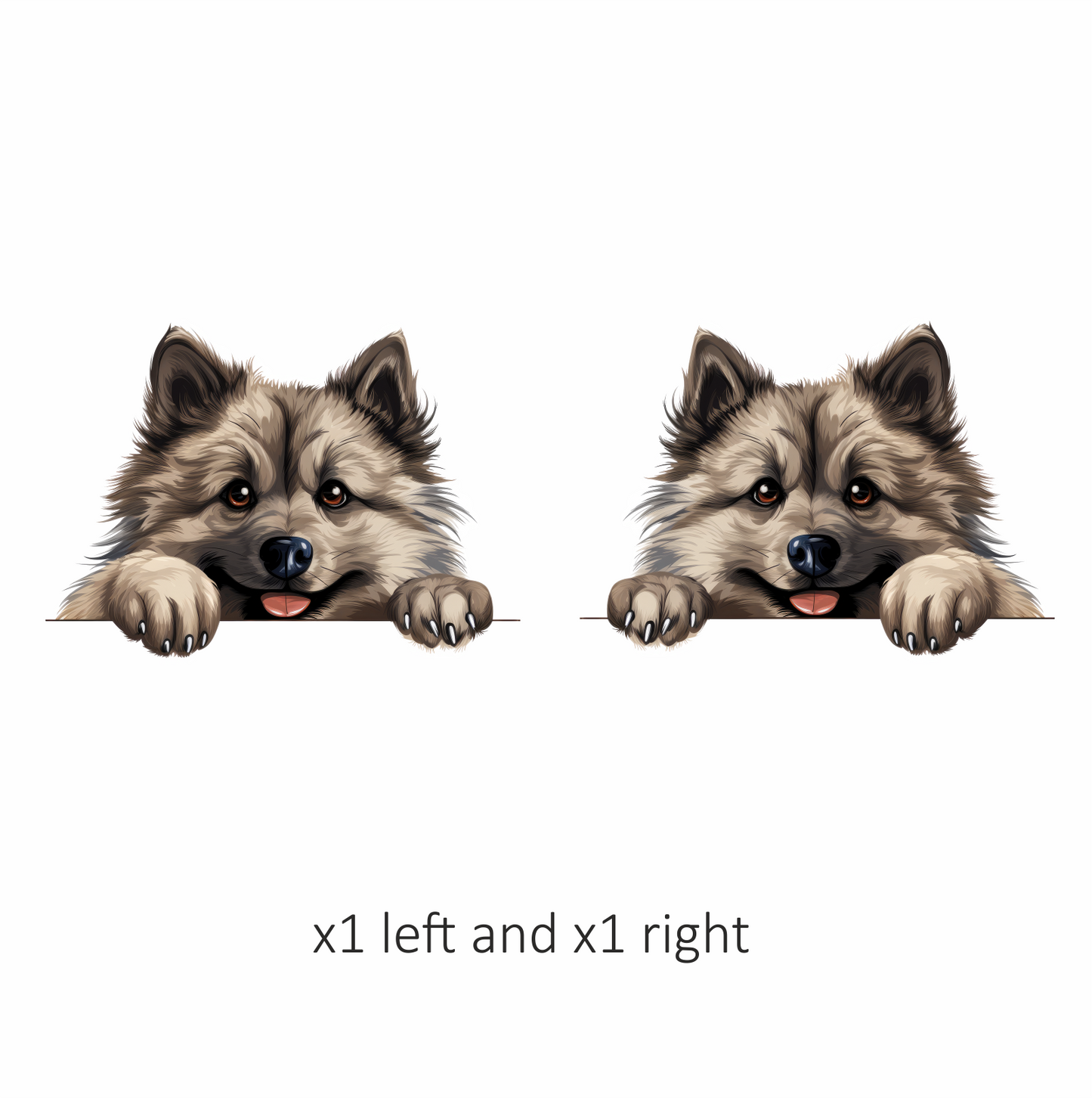 Brown Dog Fluffy Cute Keeshond Vinyl Sticker Decal