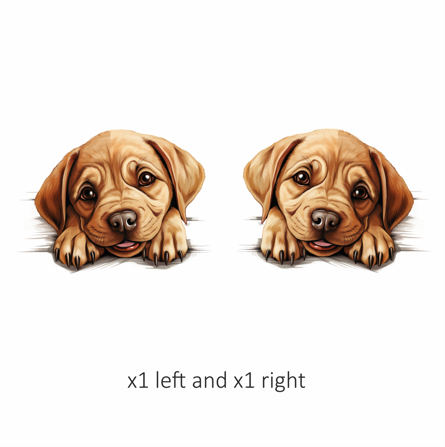 Brown Puppy Labrador Cute Face Vinyl Sticker Decal