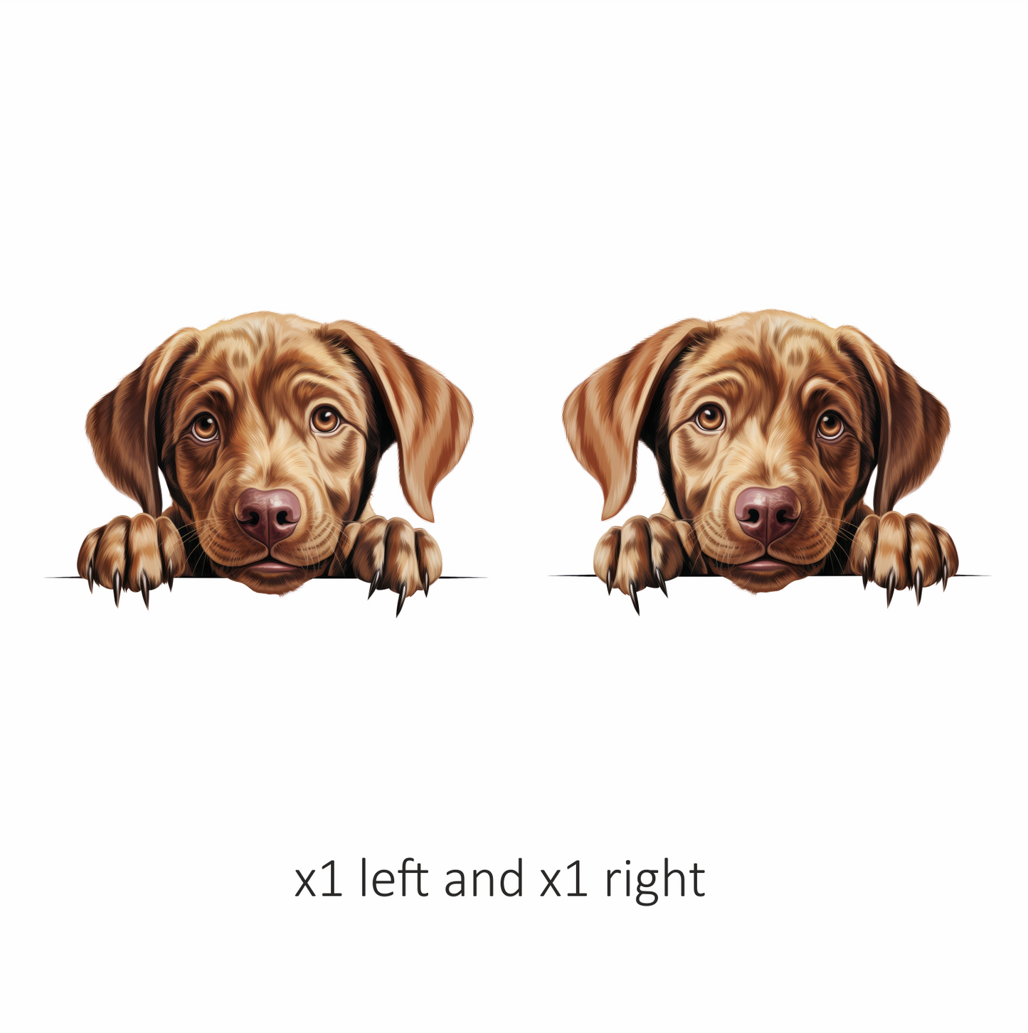 Brown Puppy Dog Labrador Cute Vinyl Sticker Decal