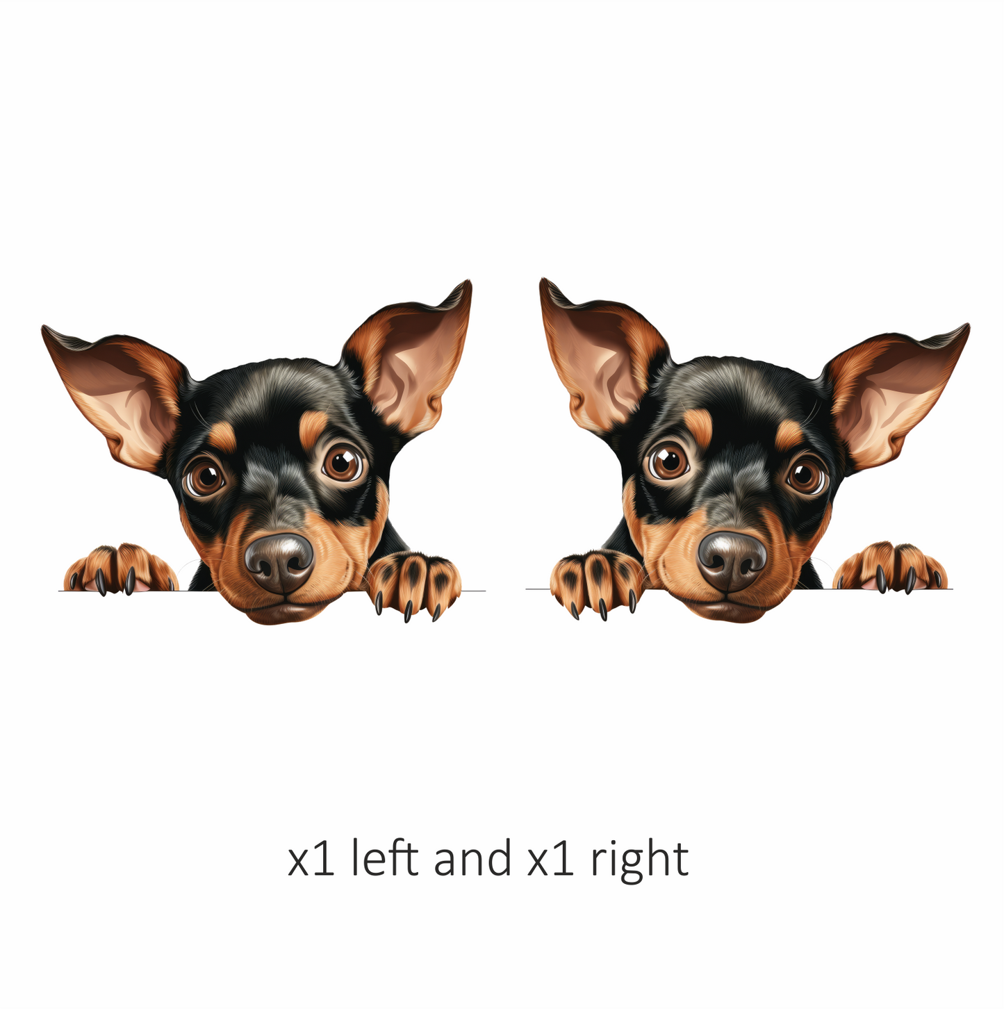 Black Brown Chihuahua Puppy Cute Vinyl Sticker Decal