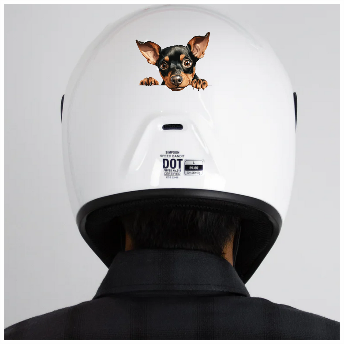 Black Brown Chihuahua Puppy Cute Vinyl Sticker Decal