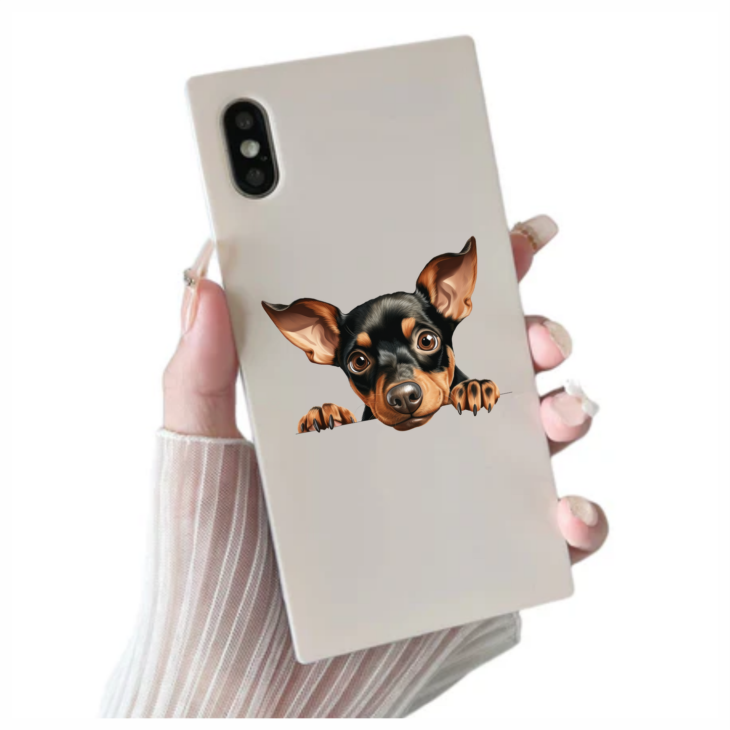 Black Brown Chihuahua Puppy Cute Vinyl Sticker Decal
