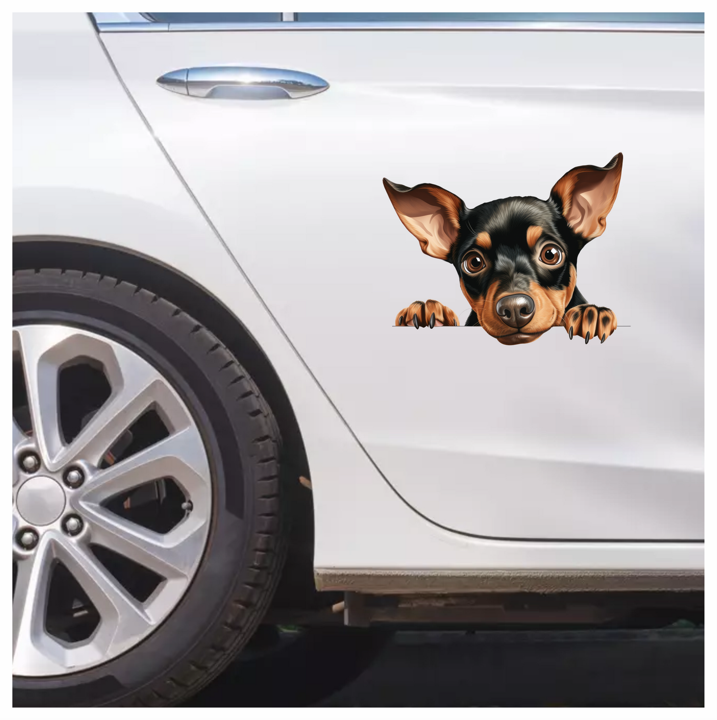 Black Brown Chihuahua Puppy Cute Vinyl Sticker Decal