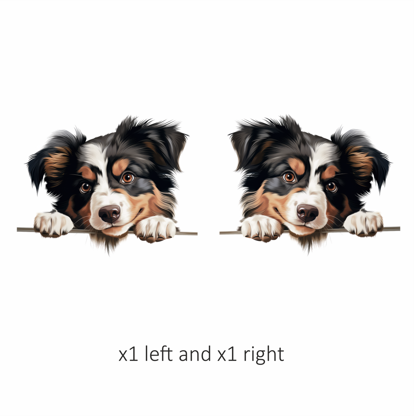 Black White Brown Australian Shepherd Dog Vinyl Sticker Decal