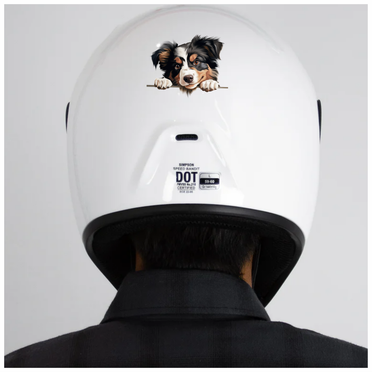 Black White Brown Australian Shepherd Dog Vinyl Sticker Decal