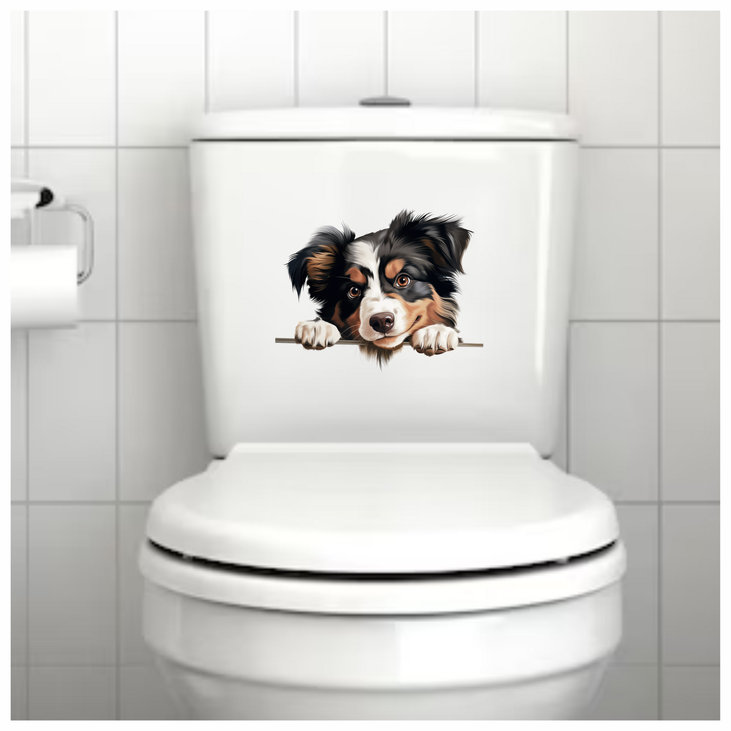 Black White Brown Australian Shepherd Dog Vinyl Sticker Decal