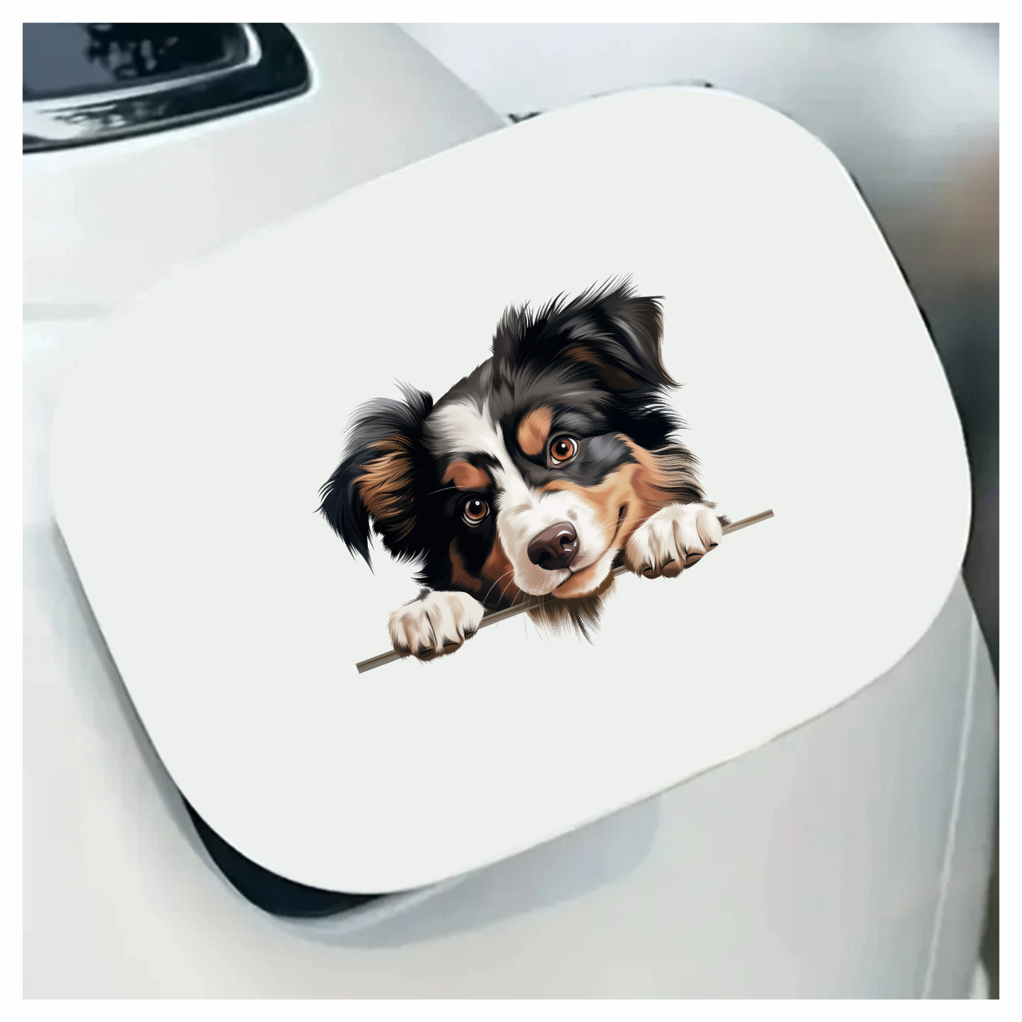 Black White Brown Australian Shepherd Dog Vinyl Sticker Decal
