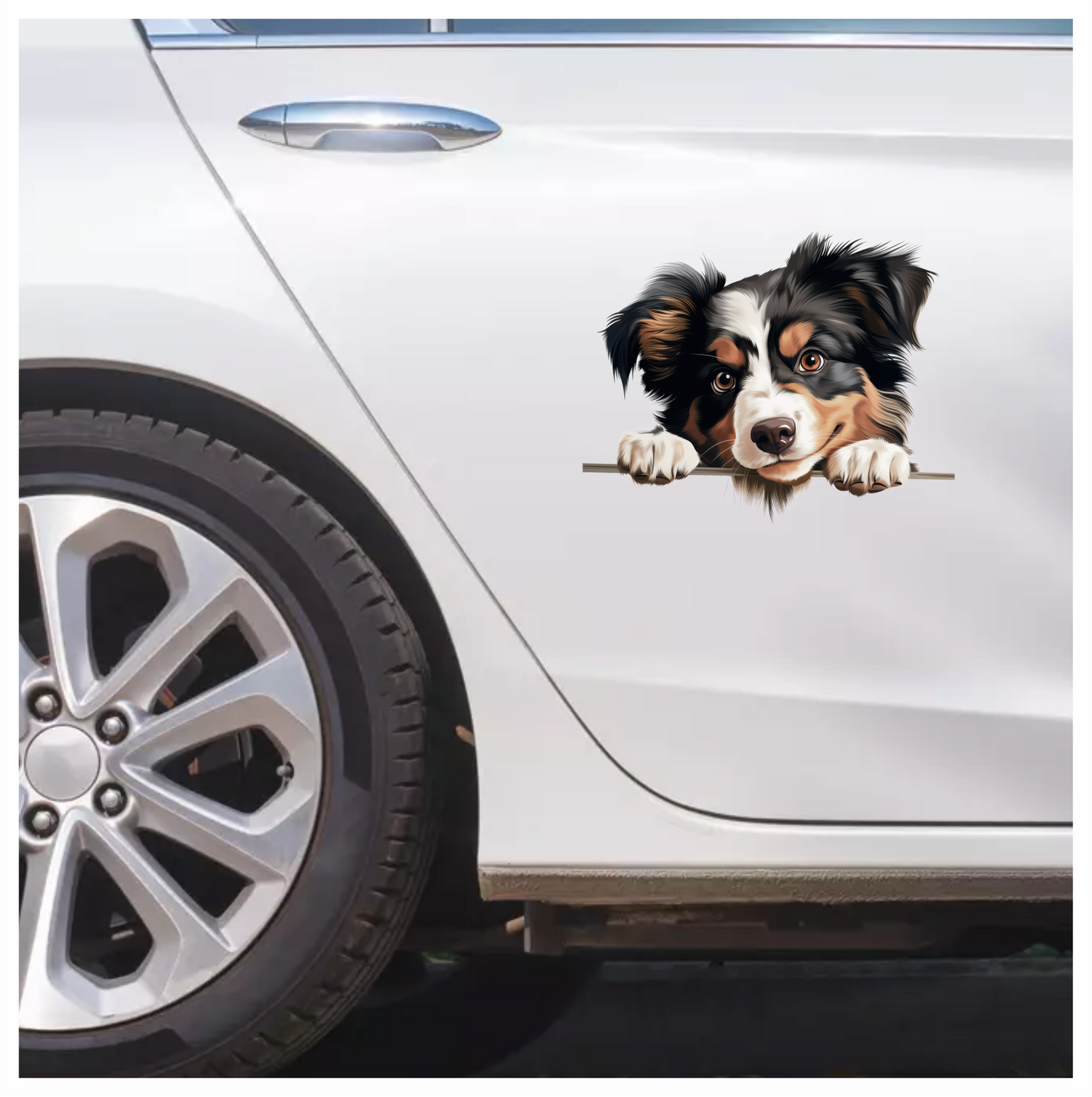 Black White Brown Australian Shepherd Dog Vinyl Sticker Decal