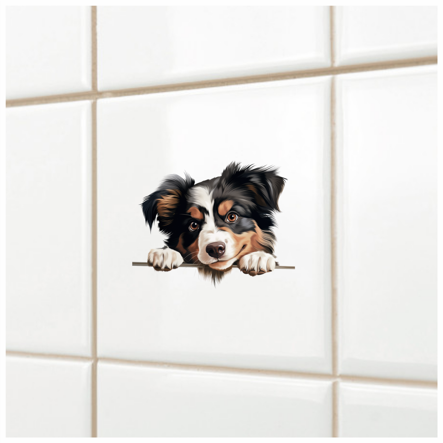 Black White Brown Australian Shepherd Dog Vinyl Sticker Decal