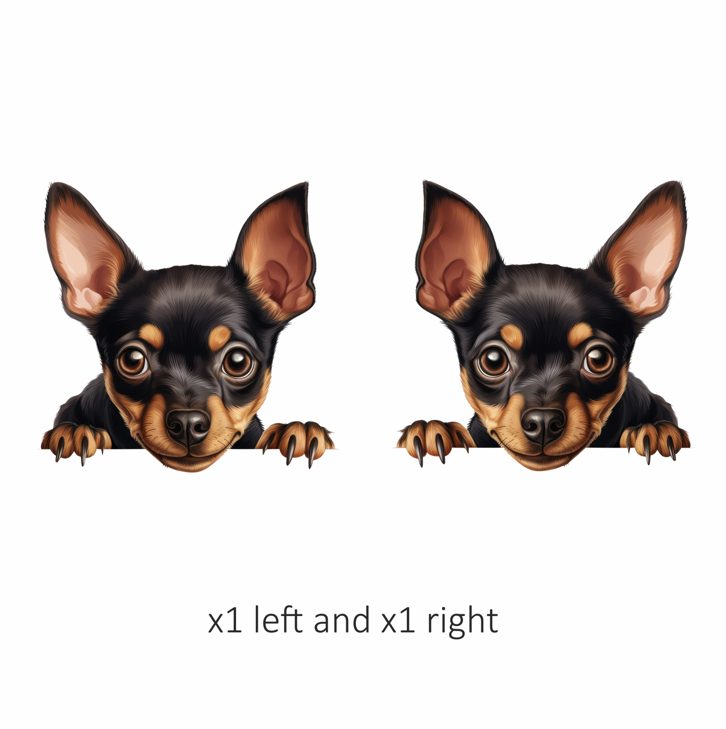 Black Brown Chihuahua Puppy Face Vinyl Sticker Decal