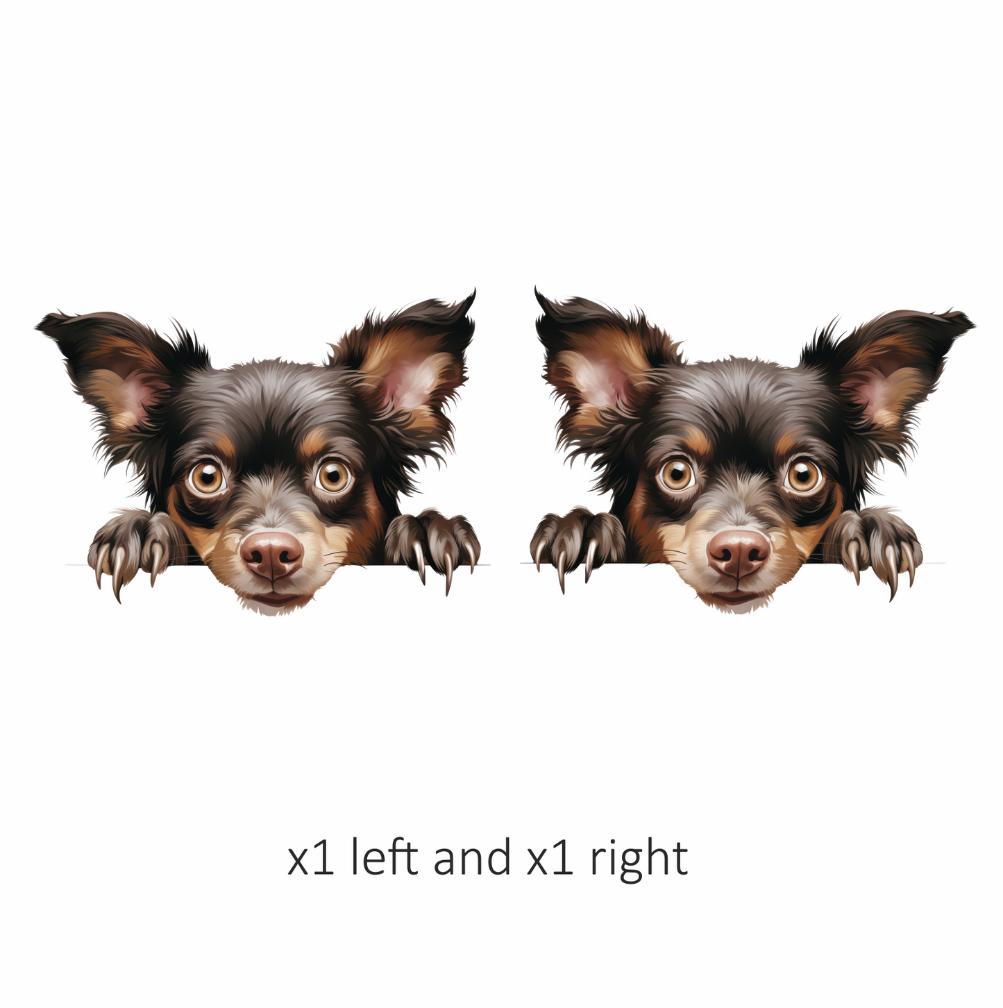 Brown Chihuahua Dog Face Paws Vinyl Sticker Decal