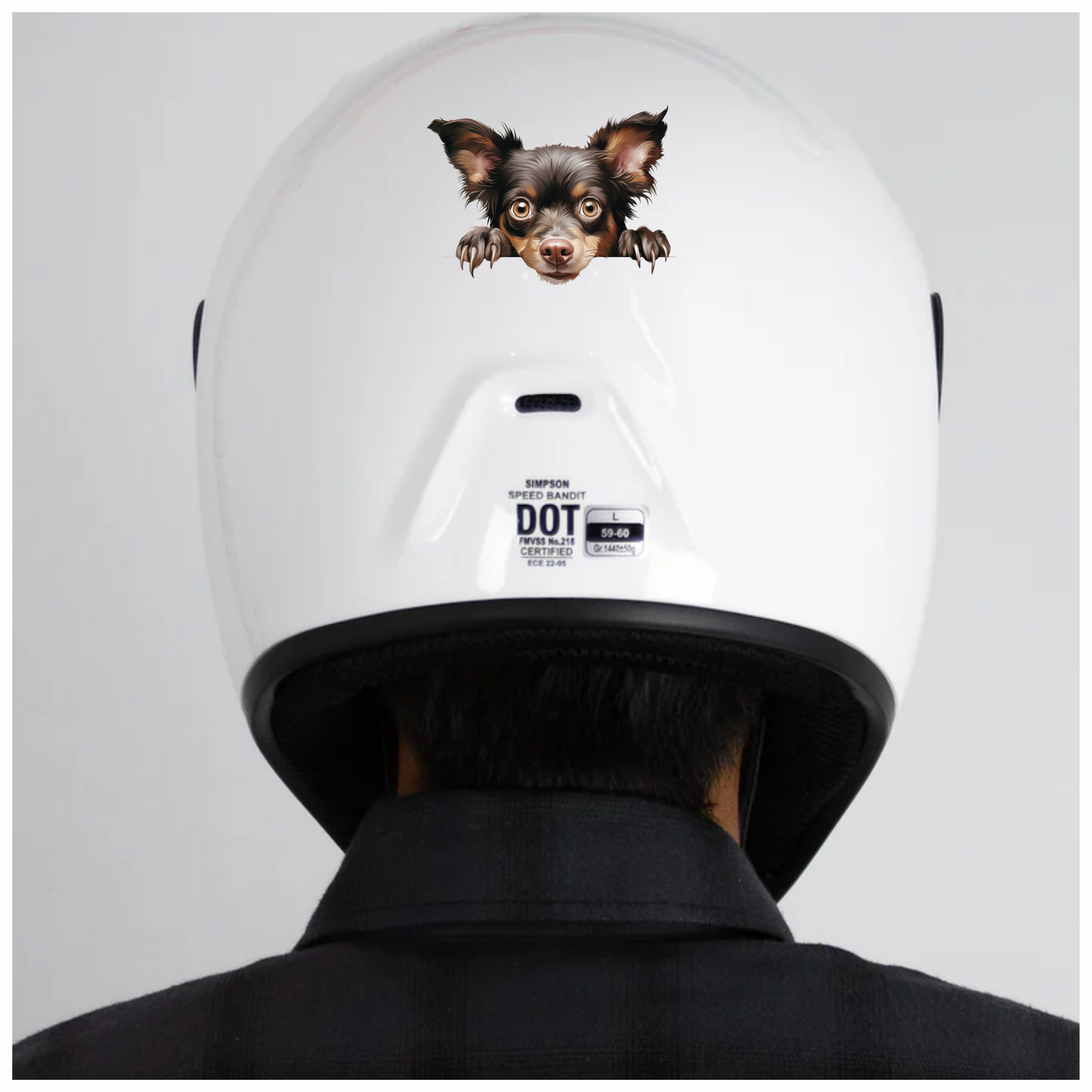 Brown Chihuahua Dog Face Paws Vinyl Sticker Decal
