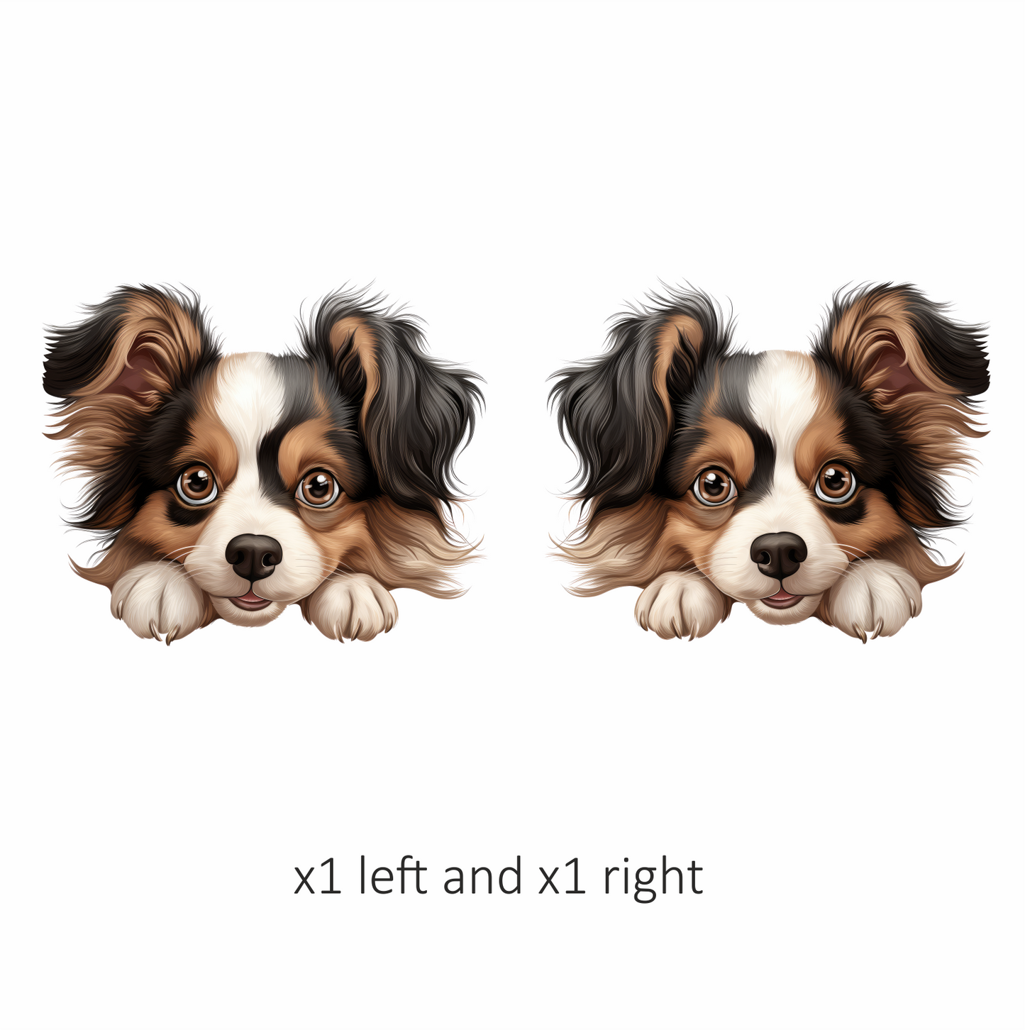 Brown White Black Dog Papillon Vinyl Sticker Decal