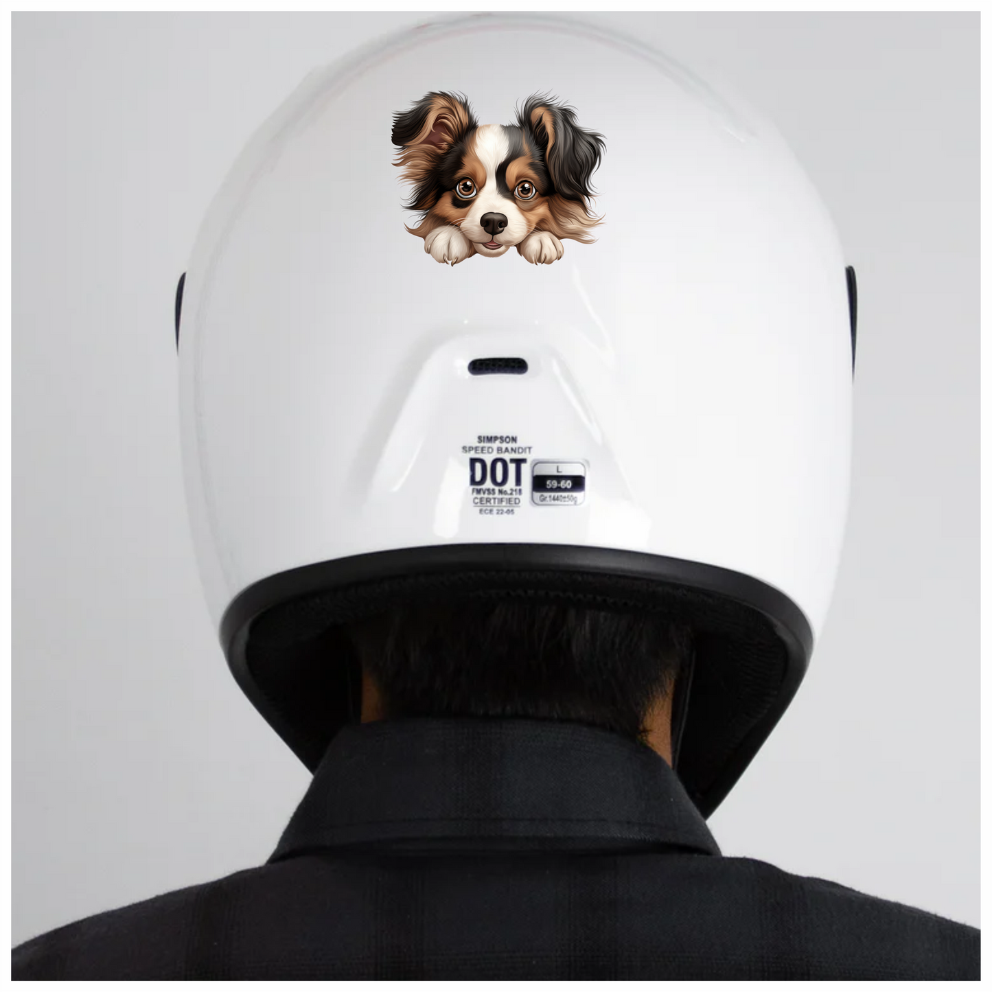 Brown White Black Dog Papillon Vinyl Sticker Decal
