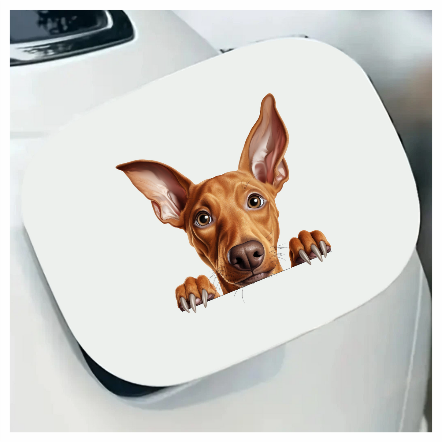 Brown Dog Large Ears Pointy Nails Vinyl Sticker Decal