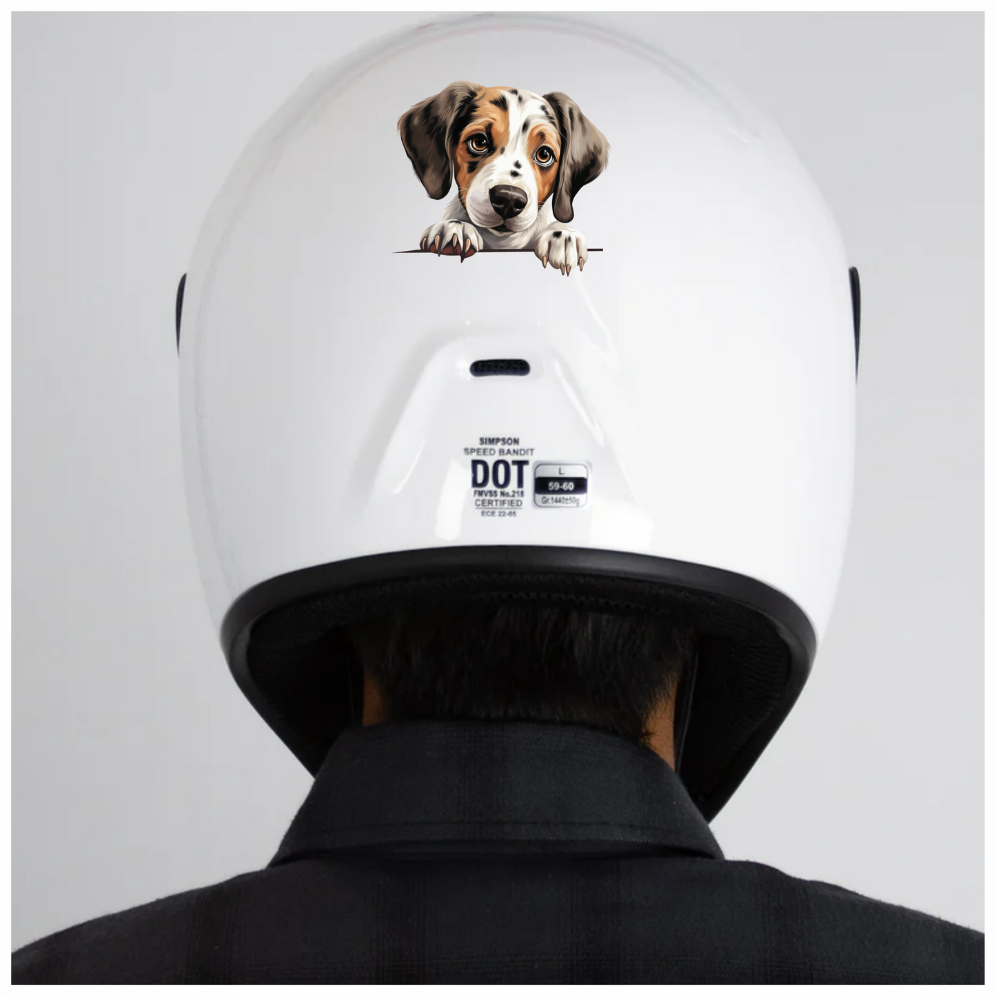 Brown White Puppy Beagle Cute Vinyl Sticker Decal