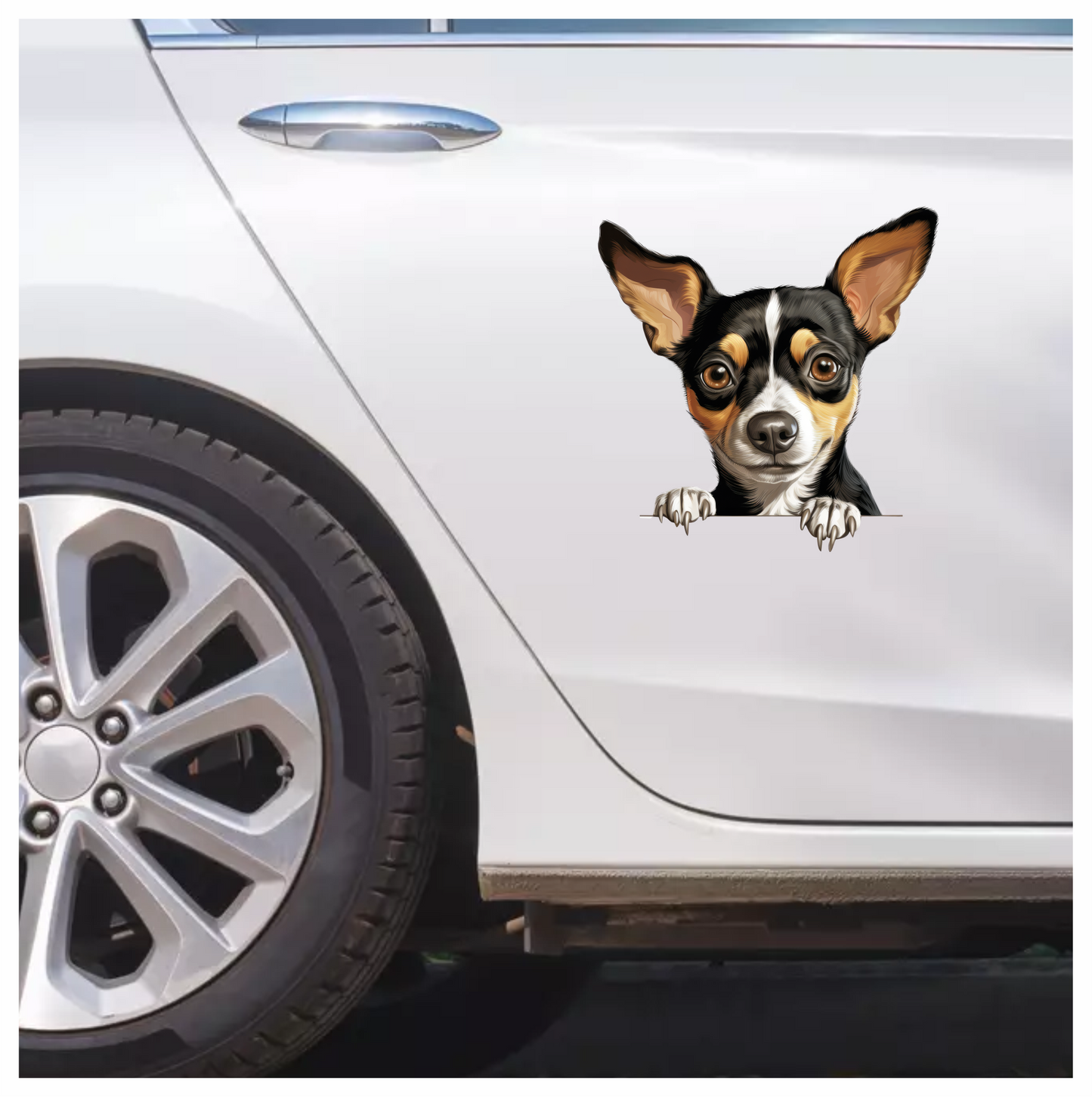 Black White Brown Chihuahua Dog Portrait Vinyl Sticker Decal