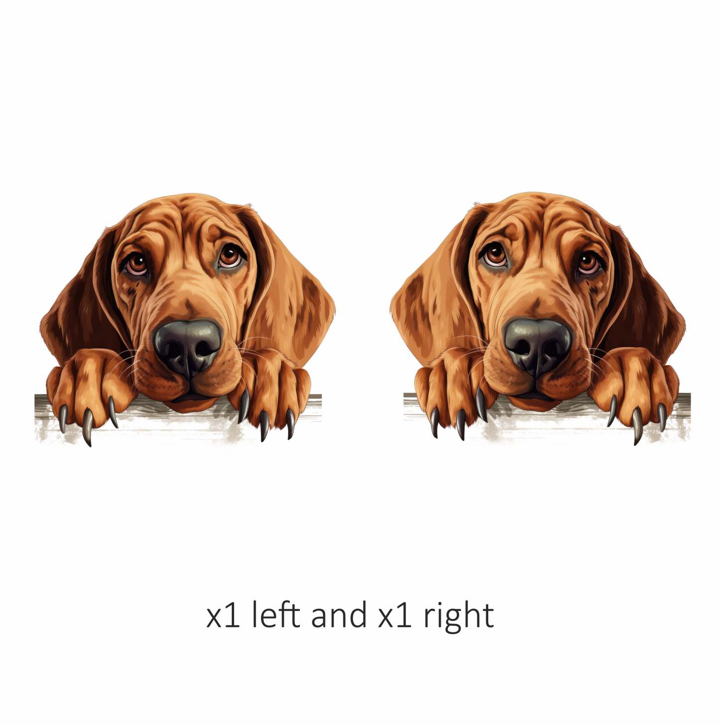 Brown Dog Hound Sad Eyes Vinyl Sticker Decal