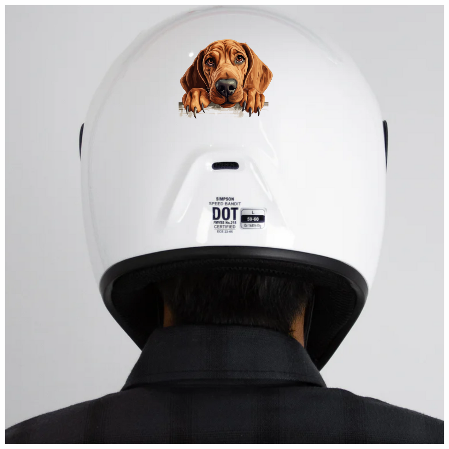 Brown Dog Hound Sad Eyes Vinyl Sticker Decal