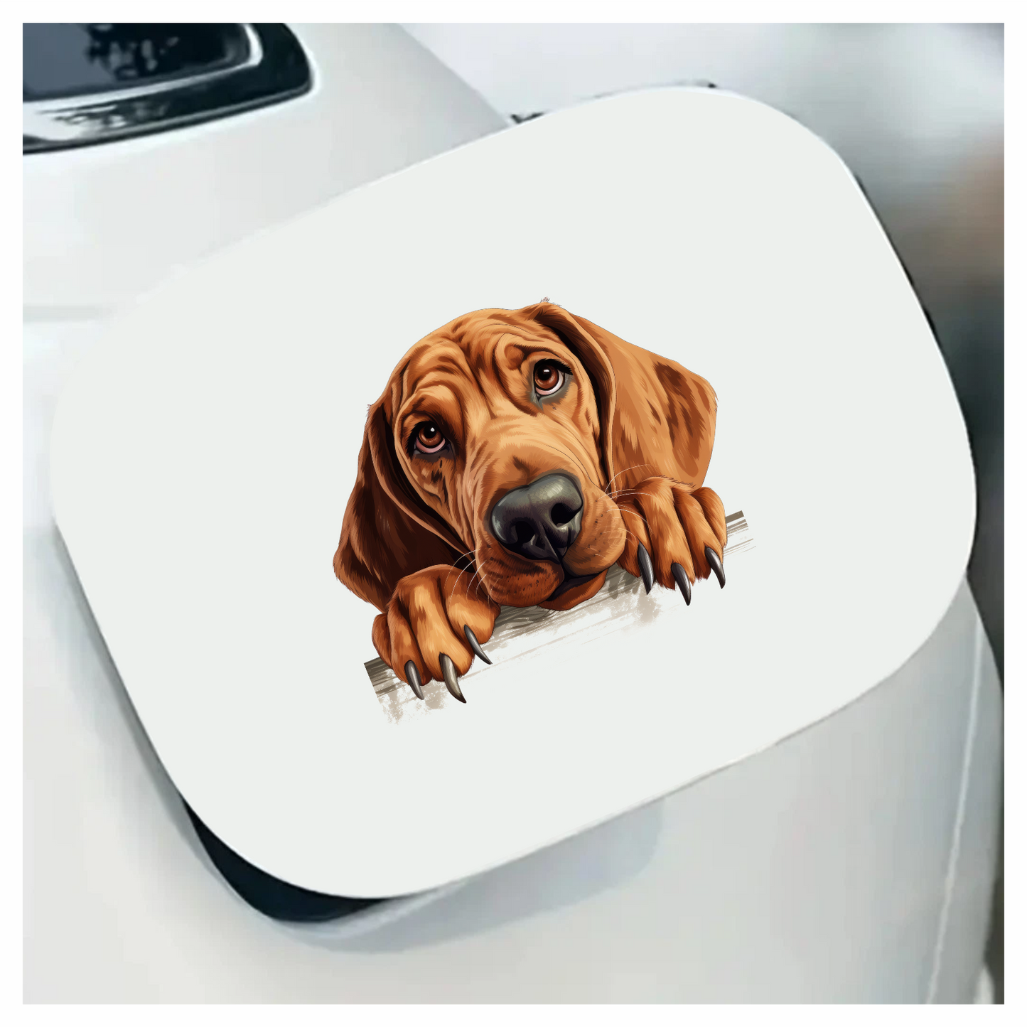 Brown Dog Hound Sad Eyes Vinyl Sticker Decal