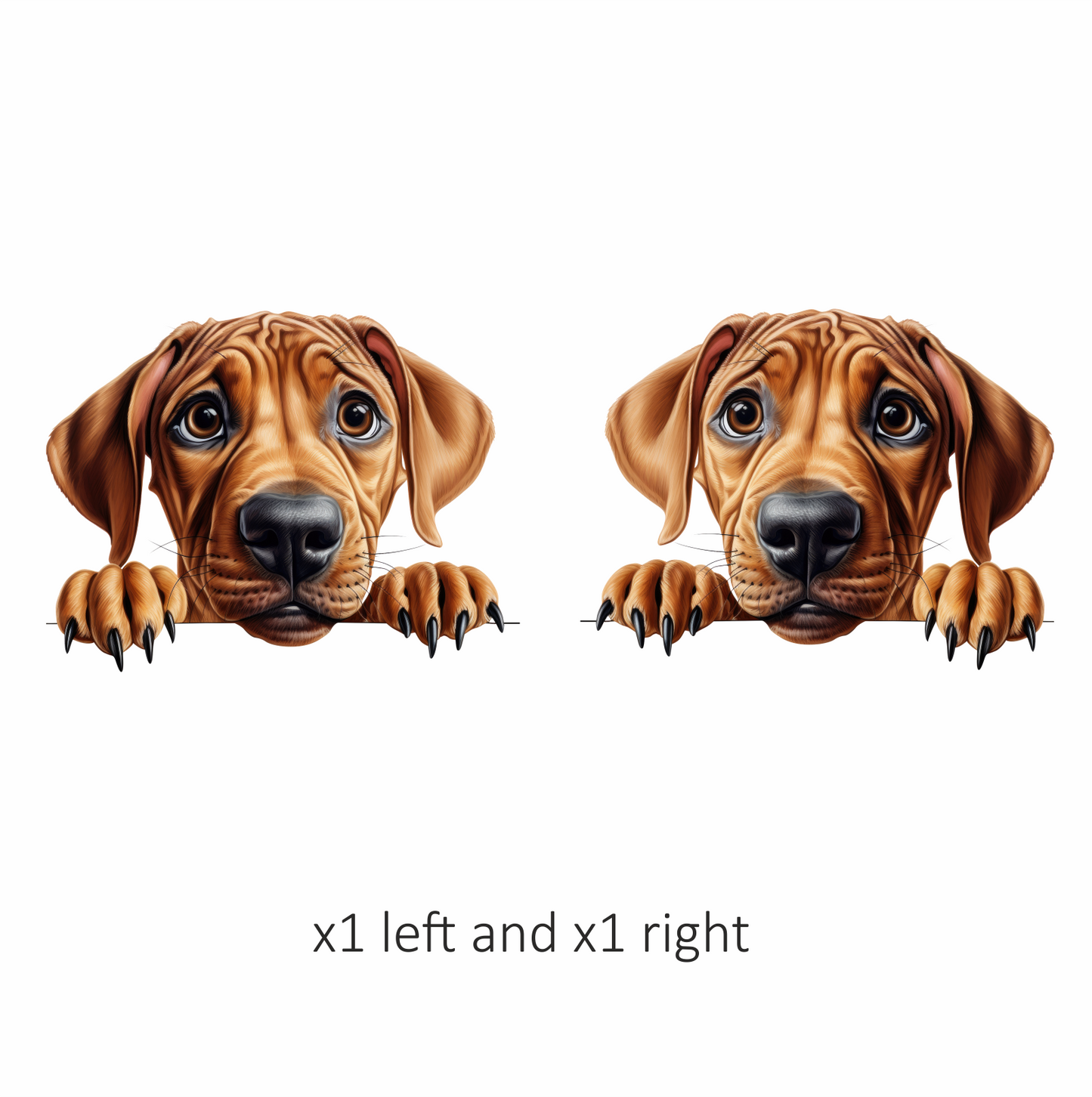 Brown Dog Puppy Sad Eyes Vinyl Sticker Decal