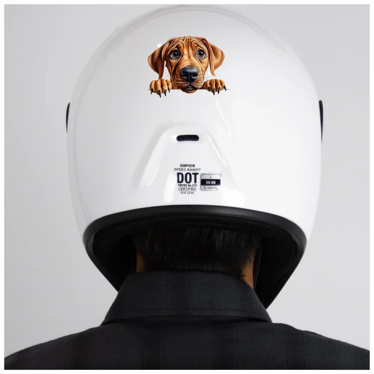 Brown Dog Puppy Sad Eyes Vinyl Sticker Decal