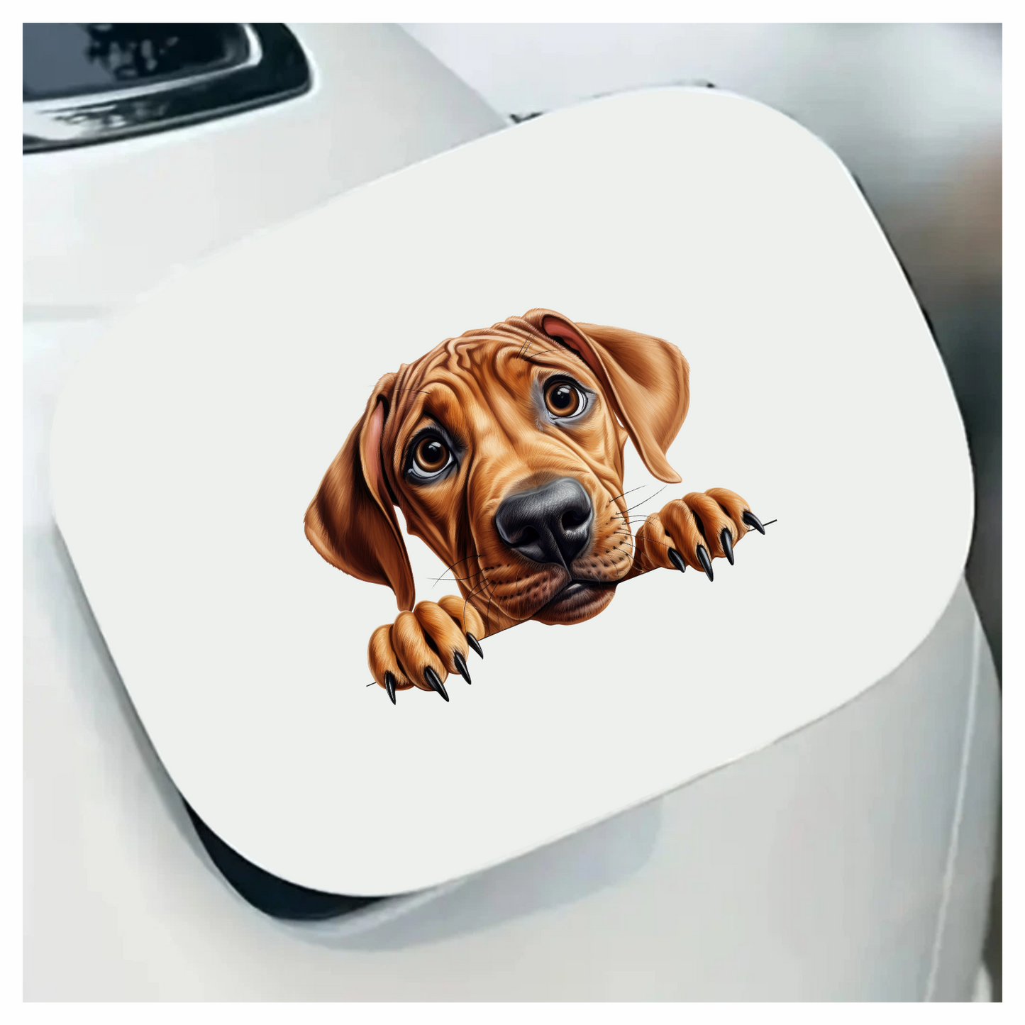 Brown Dog Puppy Sad Eyes Vinyl Sticker Decal