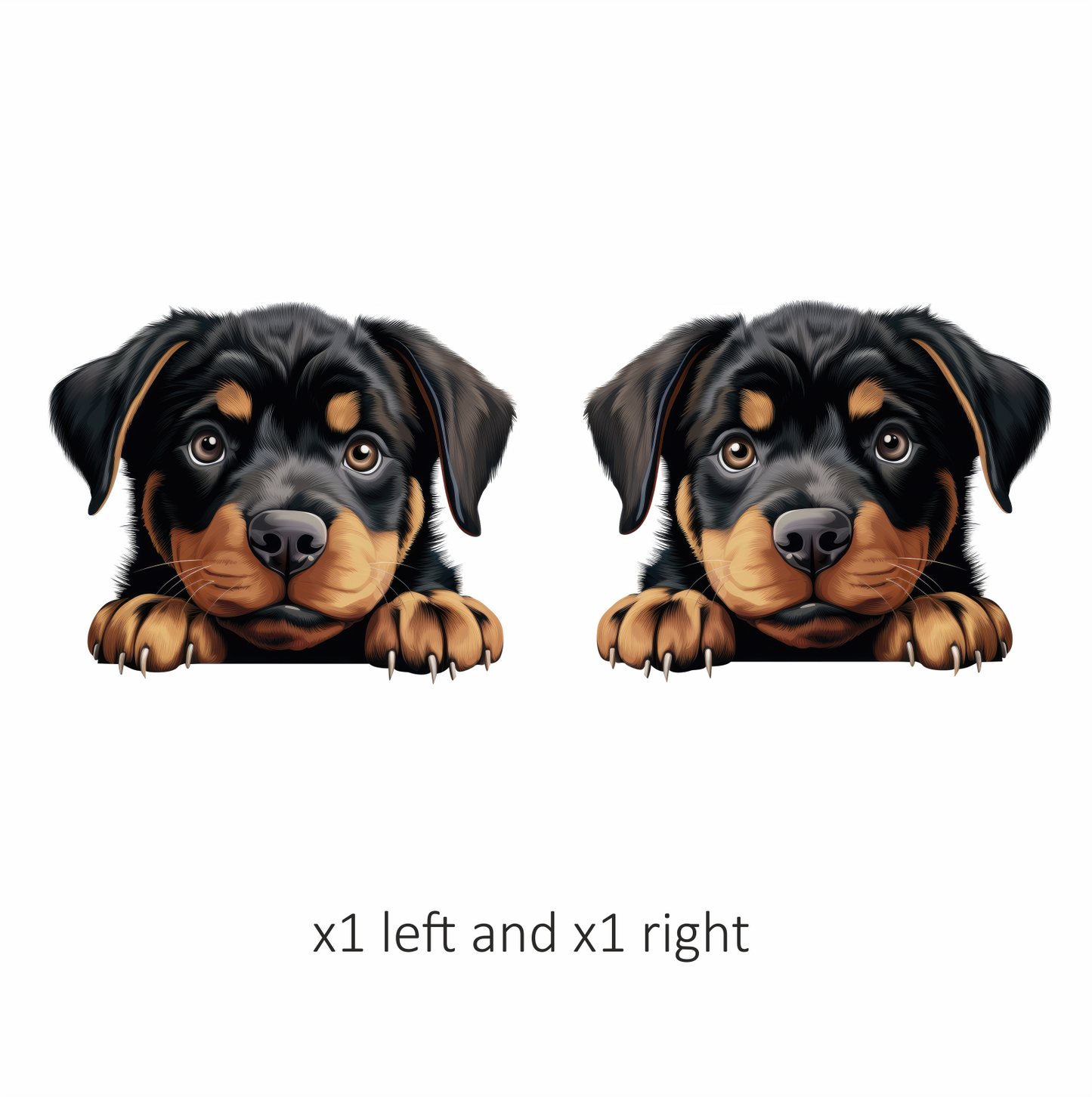 Black Puppy Rottweiler Cute Paws Vinyl Sticker Decal