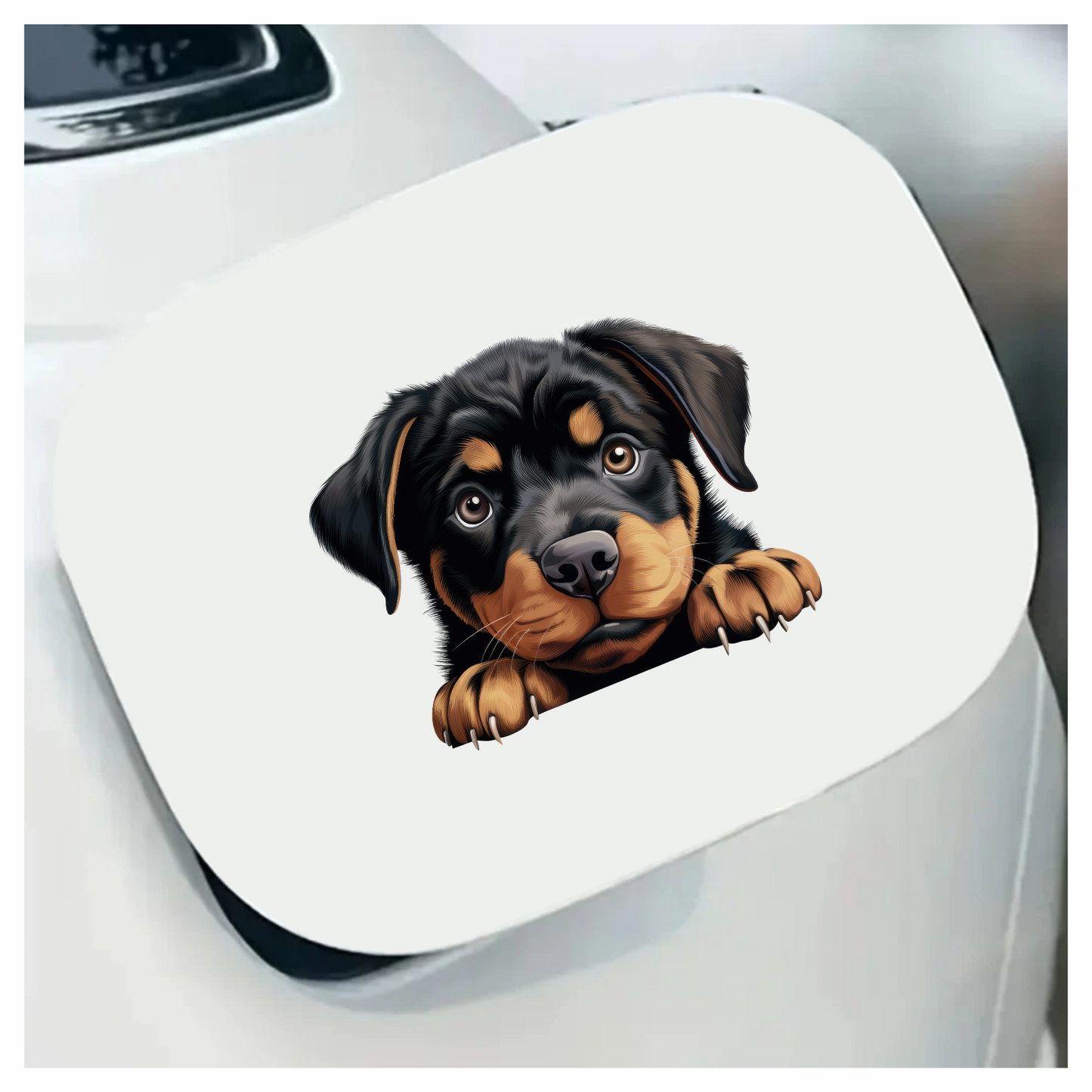Black Puppy Rottweiler Cute Paws Vinyl Sticker Decal