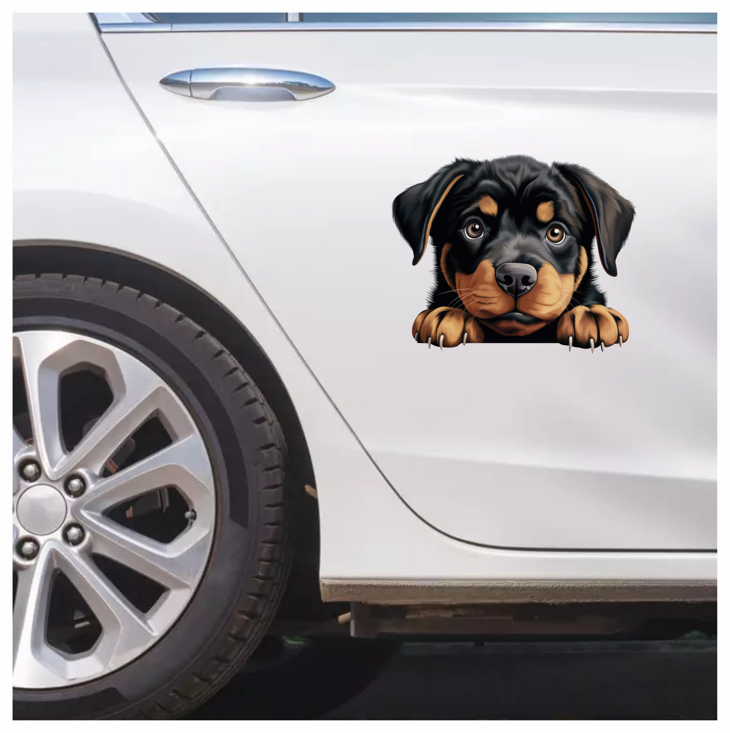 Black Puppy Rottweiler Cute Paws Vinyl Sticker Decal