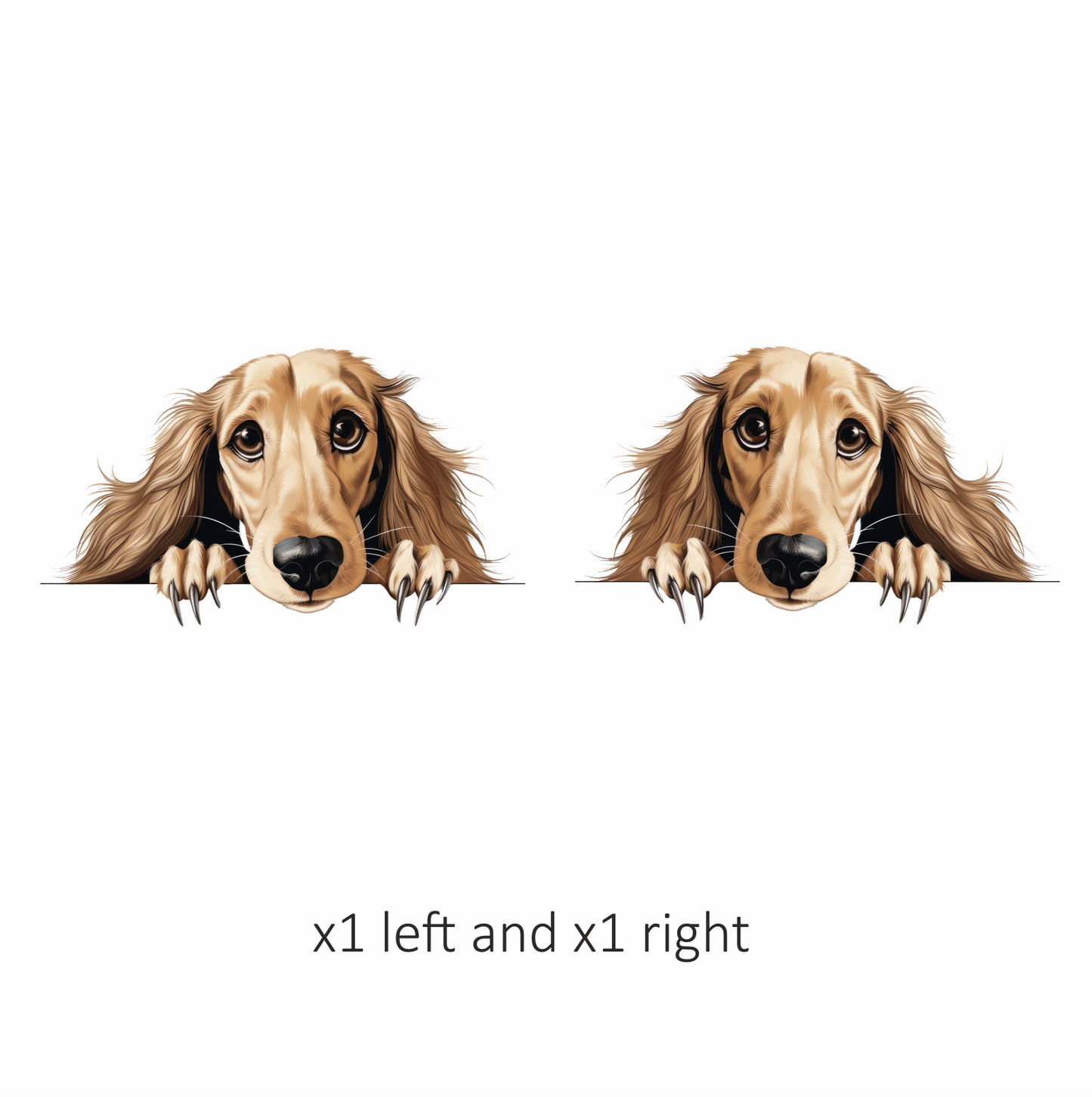 Golden Dog Dachshund Cute Face Vinyl Sticker Decal
