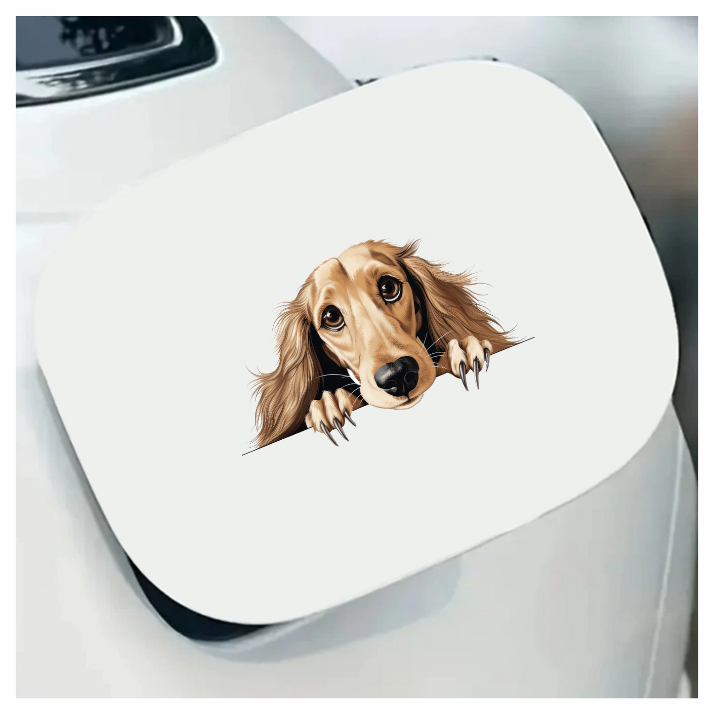 Golden Dog Dachshund Cute Face Vinyl Sticker Decal
