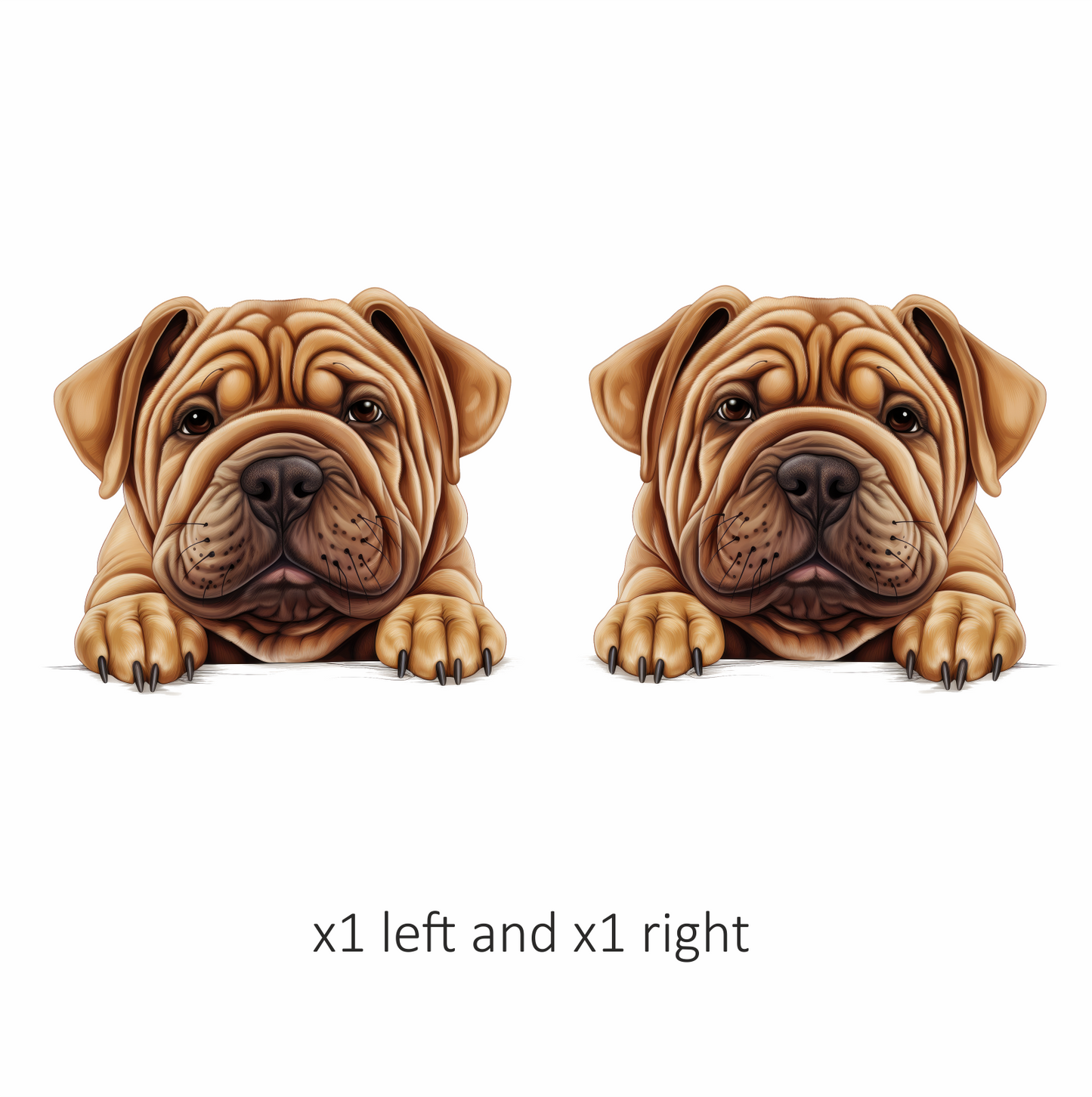 Brown Dog Bulldog Face Closeup Vinyl Sticker Decal