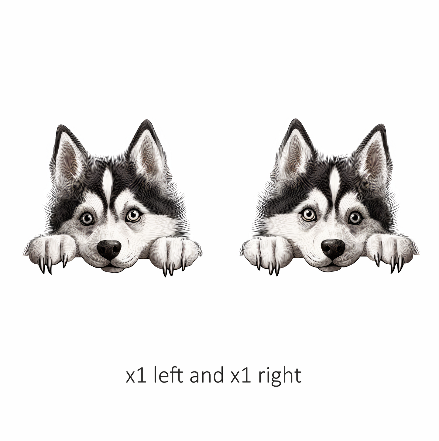 Black White Husky Dog Cute Vinyl Sticker Decal