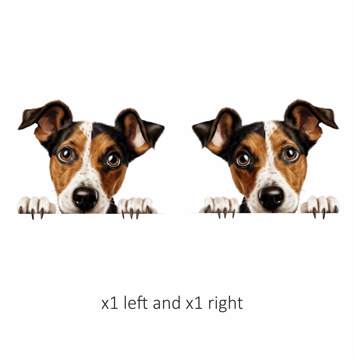 Brown White Dog JackRussell Curious Vinyl Sticker Decal