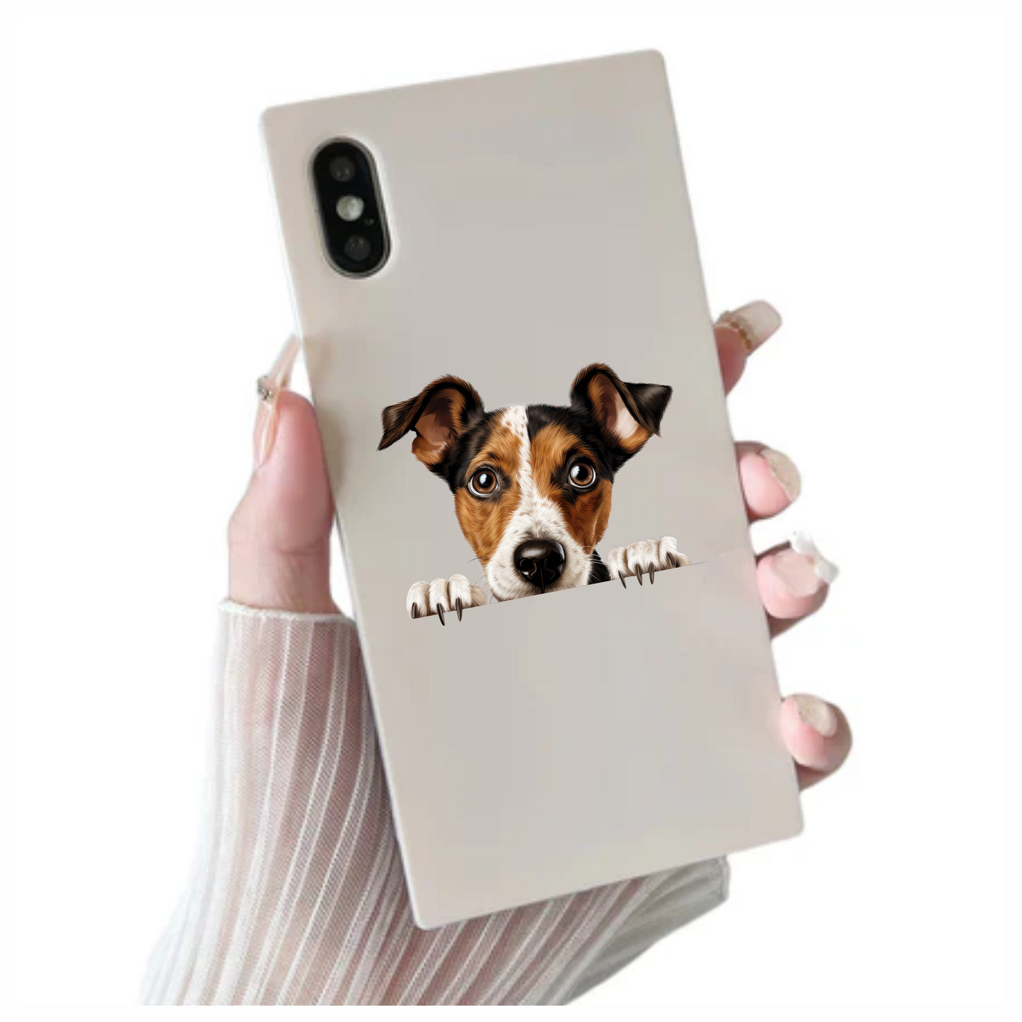 Brown White Dog JackRussell Curious Vinyl Sticker Decal