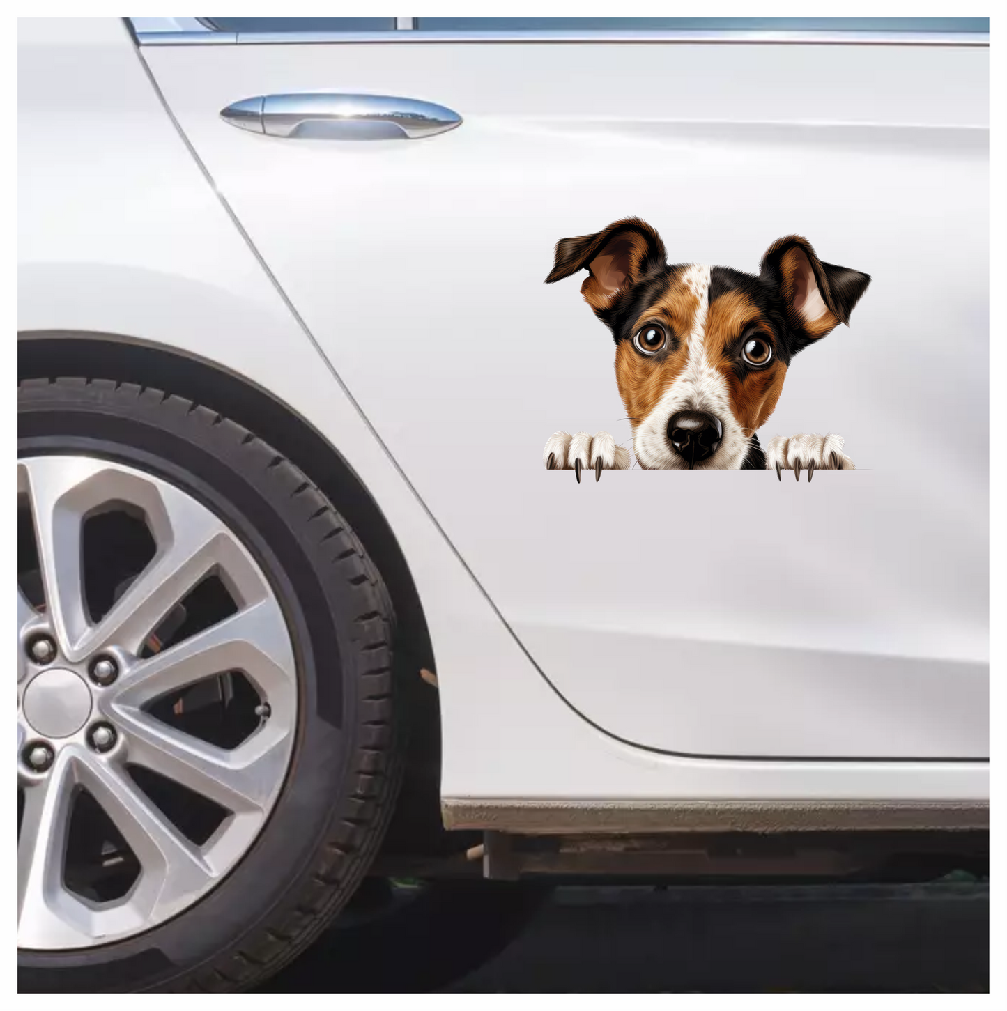 Brown White Dog JackRussell Curious Vinyl Sticker Decal